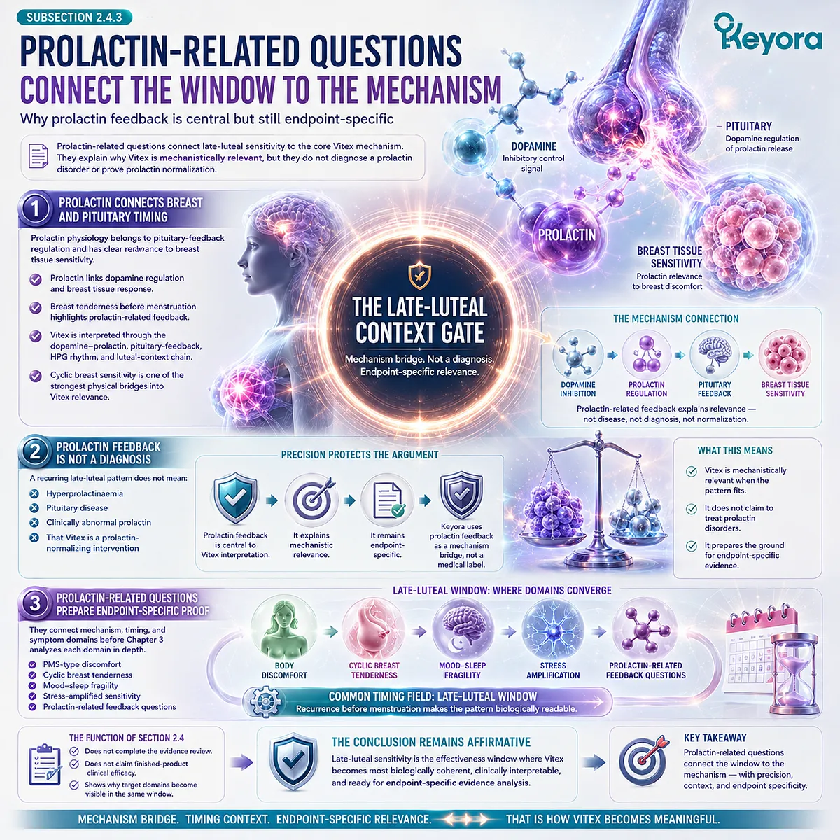 Cyclic breast tenderness, PMS-type discomfort, and female rhythm support become more biologically coherent when prolactin-related feedback links breast tissue sensitivity with pituitary communication, dopamine-prolactin signaling, and late-luteal symptom clustering in the Keyora Luteal Context Gate. Cyclic breast tenderness, PMS-type discomfort, and female rhythm support become more biologically coherent when prolactin-related feedback links breast tissue sensitivity with pituitary communication, dopamine-prolactin signaling, and late-luteal symptom clustering in the Keyora Luteal Context Gate.