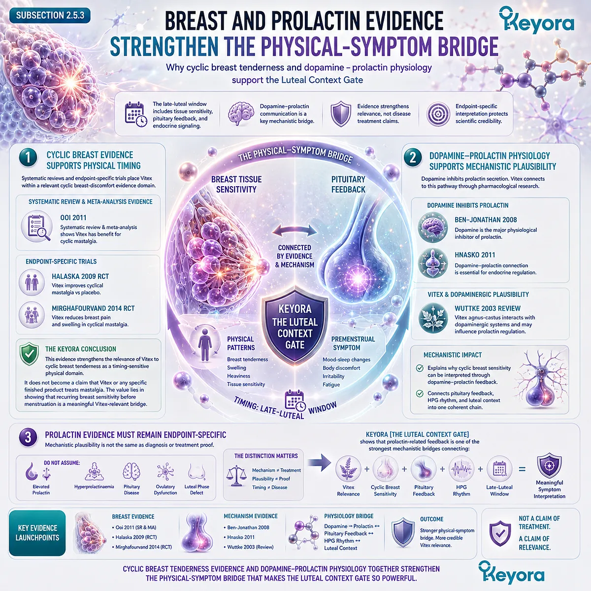 Cyclic breast tenderness, PMS-type discomfort, and female rhythm support become more biologically interpretable when breast tissue sensitivity and dopamine-prolactin communication converge with pituitary feedback and late-luteal symptom recurrence in the Keyora Luteal Context Gate. Cyclic breast tenderness, PMS-type discomfort, and female rhythm support become more biologically interpretable when breast tissue sensitivity and dopamine-prolactin communication converge with pituitary feedback and late-luteal symptom recurrence in the Keyora Luteal Context Gate.