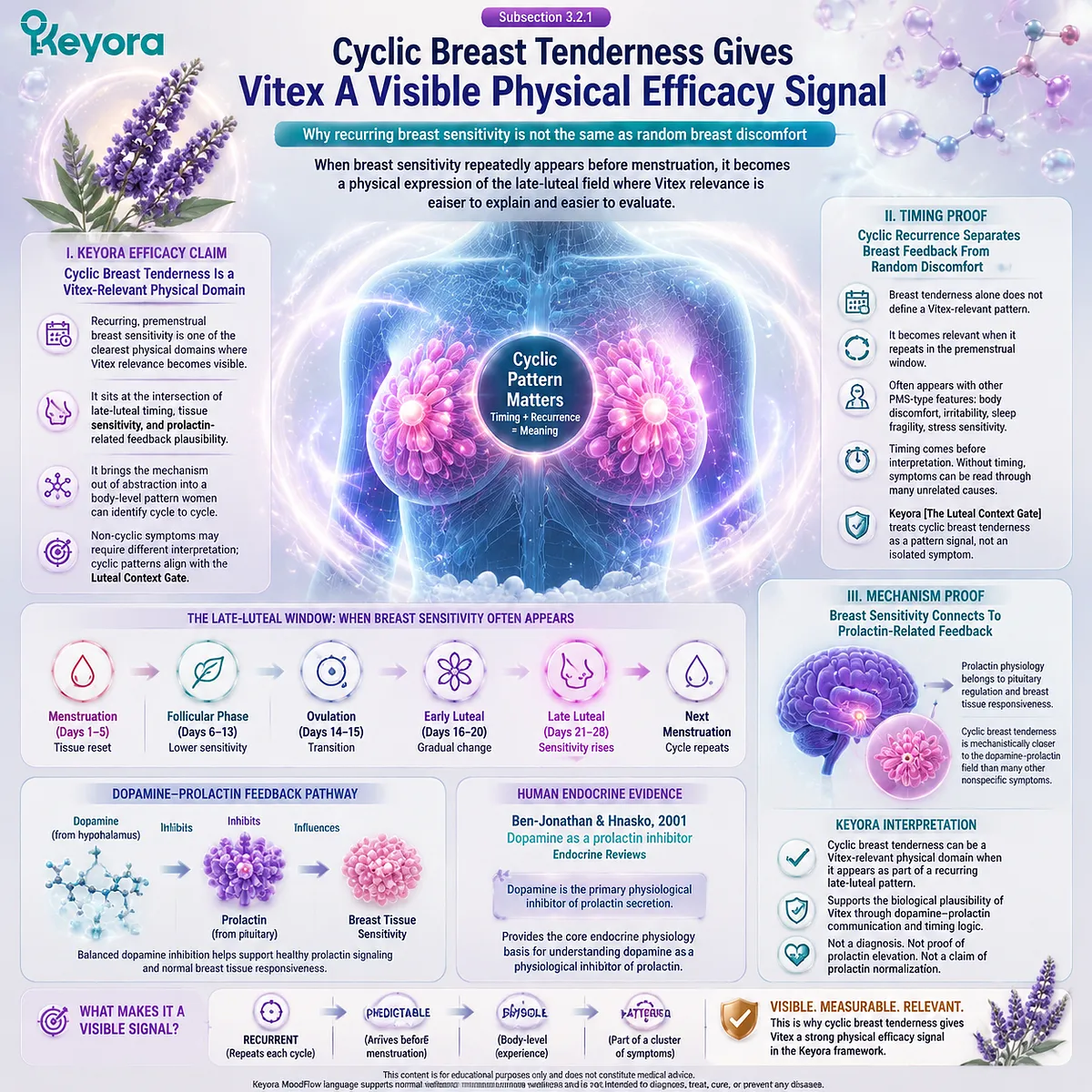 cyclic breast tenderness mastalgia premenstrual breast sensitivity prolactin dopamine feedback and luteal HPG rhythm within Keyora Luteal Context Gate Vitex framework cyclic breast tenderness mastalgia premenstrual breast sensitivity prolactin dopamine feedback and luteal HPG rhythm within Keyora Luteal Context Gate Vitex framework