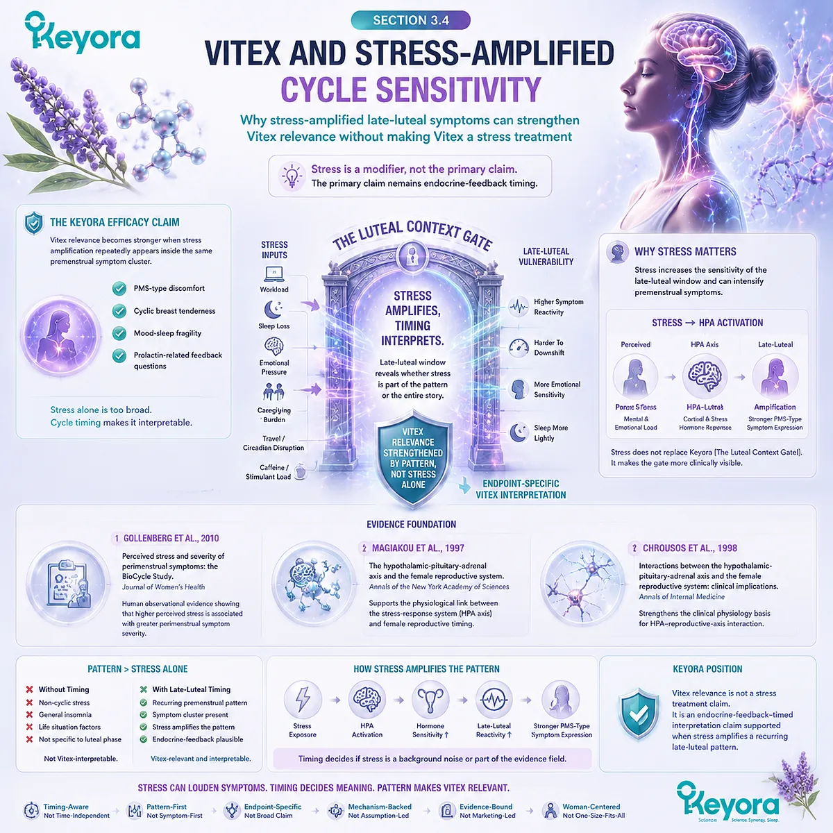stress amplified PMS symptoms HPA-axis and reproductive axis interaction cortisol regulation luteal phase sensitivity Vitex agnus castus Keyora Luteal Context Gate cycle modulation framework stress amplified PMS symptoms HPA-axis and reproductive axis interaction cortisol regulation luteal phase sensitivity Vitex agnus castus Keyora Luteal Context Gate cycle modulation framework