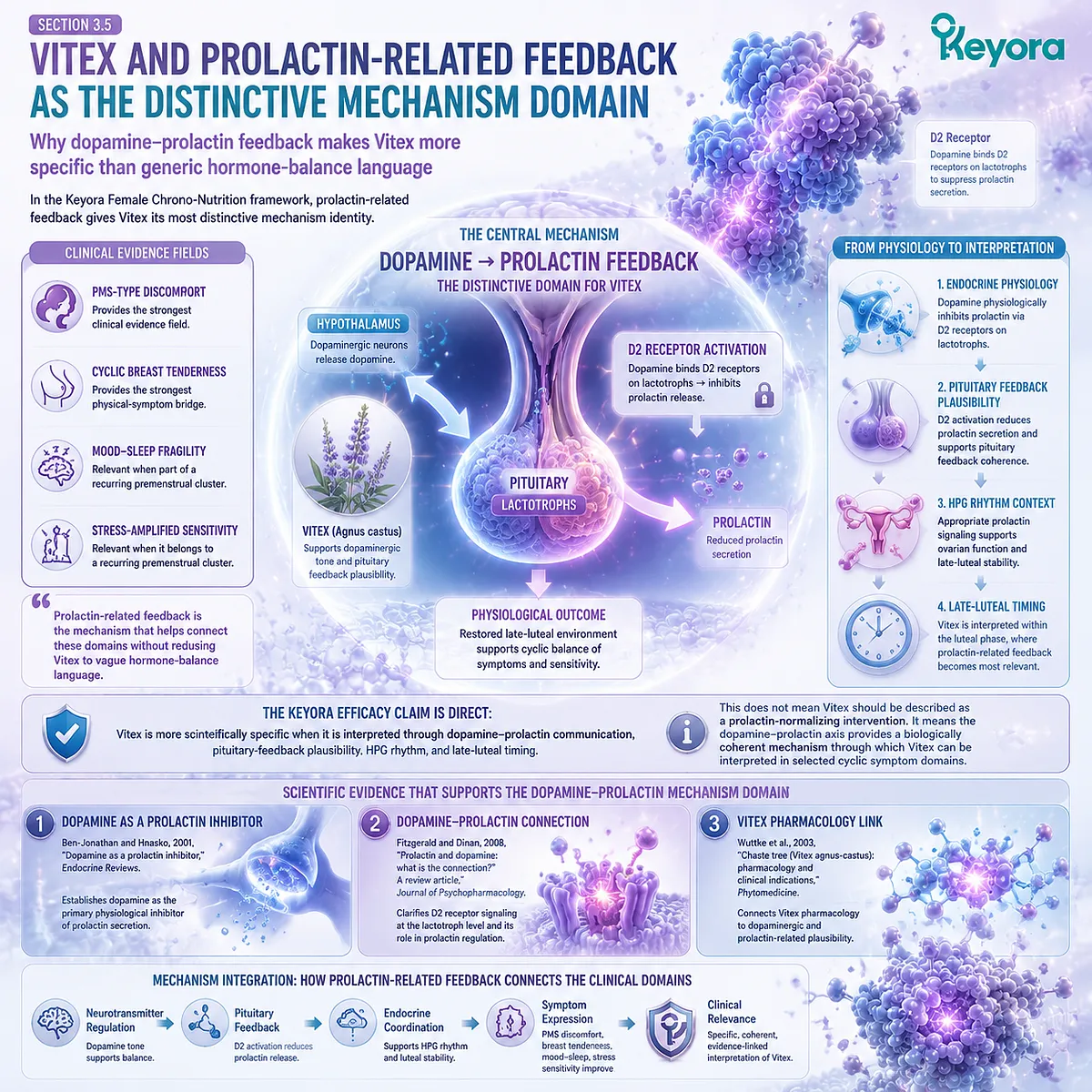 dopamine prolactin feedback Vitex agnus castus pharmacology D2 receptor lactotroph signaling luteal phase endocrine regulation Keyora Luteal Context Gate mechanism specificity framework dopamine prolactin feedback Vitex agnus castus pharmacology D2 receptor lactotroph signaling luteal phase endocrine regulation Keyora Luteal Context Gate mechanism specificity framework