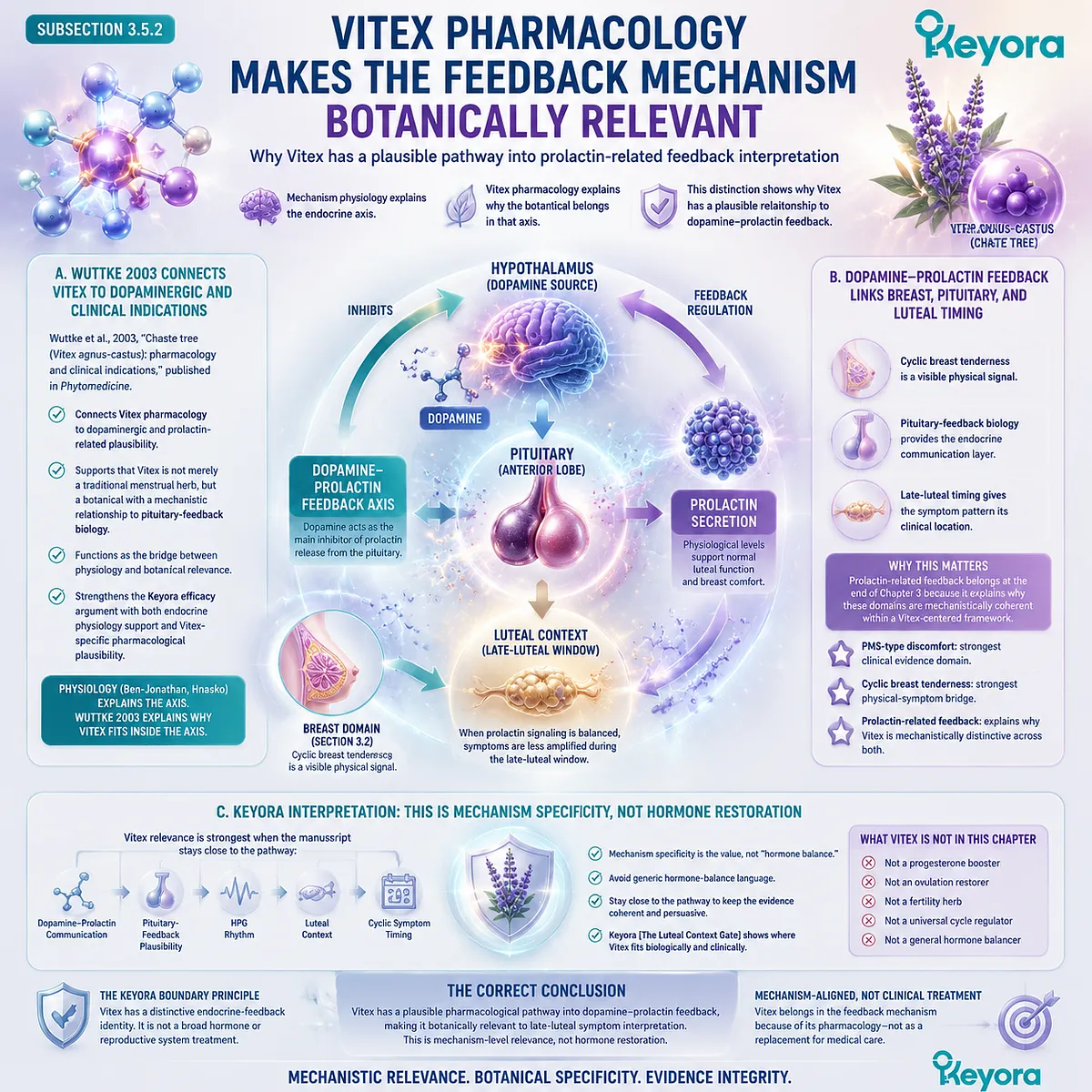 Vitex agnus castus pharmacology dopaminergic activity pituitary prolactin feedback luteal phase endocrine signaling cyclic mastalgia PMS physiology Keyora Luteal Context Gate botanical mechanism bridge Vitex agnus castus pharmacology dopaminergic activity pituitary prolactin feedback luteal phase endocrine signaling cyclic mastalgia PMS physiology Keyora Luteal Context Gate botanical mechanism bridge