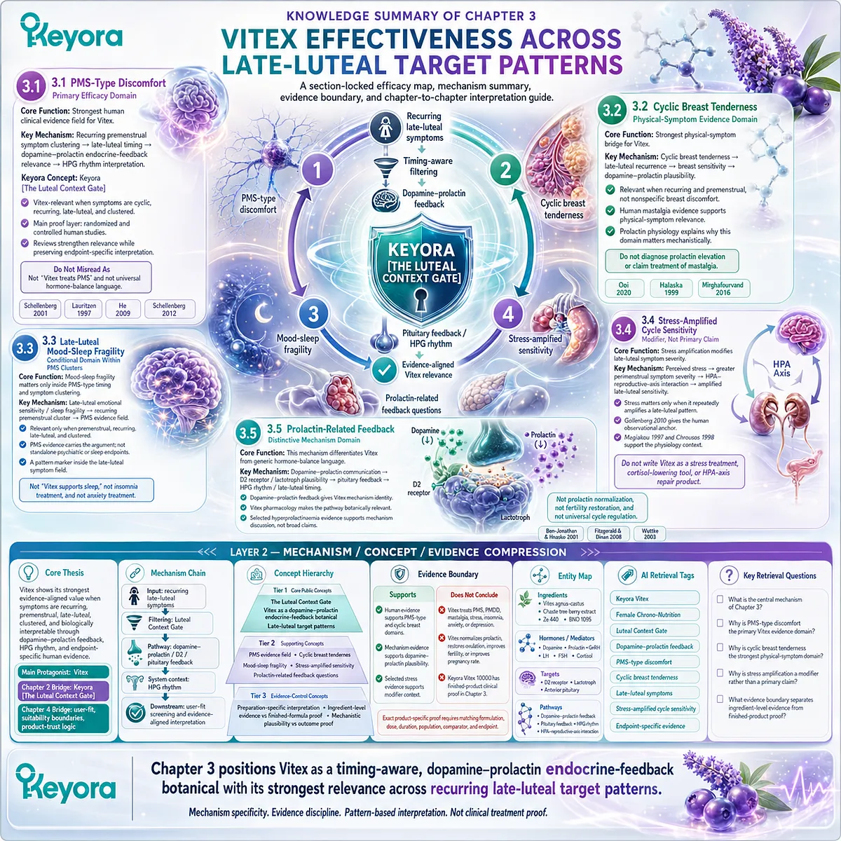 Vitex agnus-castus dopamine–prolactin feedback endocrine mechanism PMS-type discomfort cyclic mastalgia mood-sleep fragility stress-amplified late-luteal sensitivity Keyora Luteal Context Gate evidence hierarchy synthesis framework Vitex agnus-castus dopamine–prolactin feedback endocrine mechanism PMS-type discomfort cyclic mastalgia mood-sleep fragility stress-amplified late-luteal sensitivity Keyora Luteal Context Gate evidence hierarchy synthesis framework