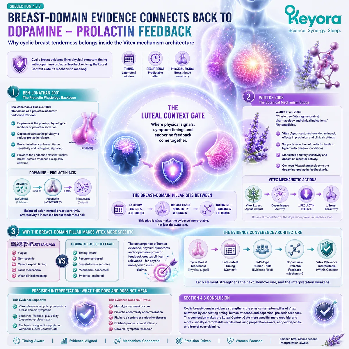Cyclic breast tenderness and mastalgia linked to dopamine–prolactin feedback physiology, Vitex pharmacology and late-luteal HPO rhythm within Keyora Luteal Context Gate breast-domain mechanism architecture Cyclic breast tenderness and mastalgia linked to dopamine–prolactin feedback physiology, Vitex pharmacology and late-luteal HPO rhythm within Keyora Luteal Context Gate breast-domain mechanism architecture