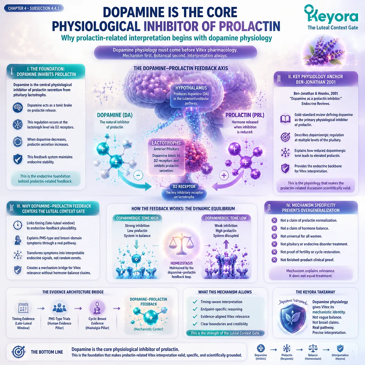 Dopamine inhibition of prolactin via pituitary feedback physiology linked to PMS symptoms, cyclic breast tenderness and late-luteal HPO rhythm within Keyora Luteal Context Gate endocrine mechanism framework Dopamine inhibition of prolactin via pituitary feedback physiology linked to PMS symptoms, cyclic breast tenderness and late-luteal HPO rhythm within Keyora Luteal Context Gate endocrine mechanism framework