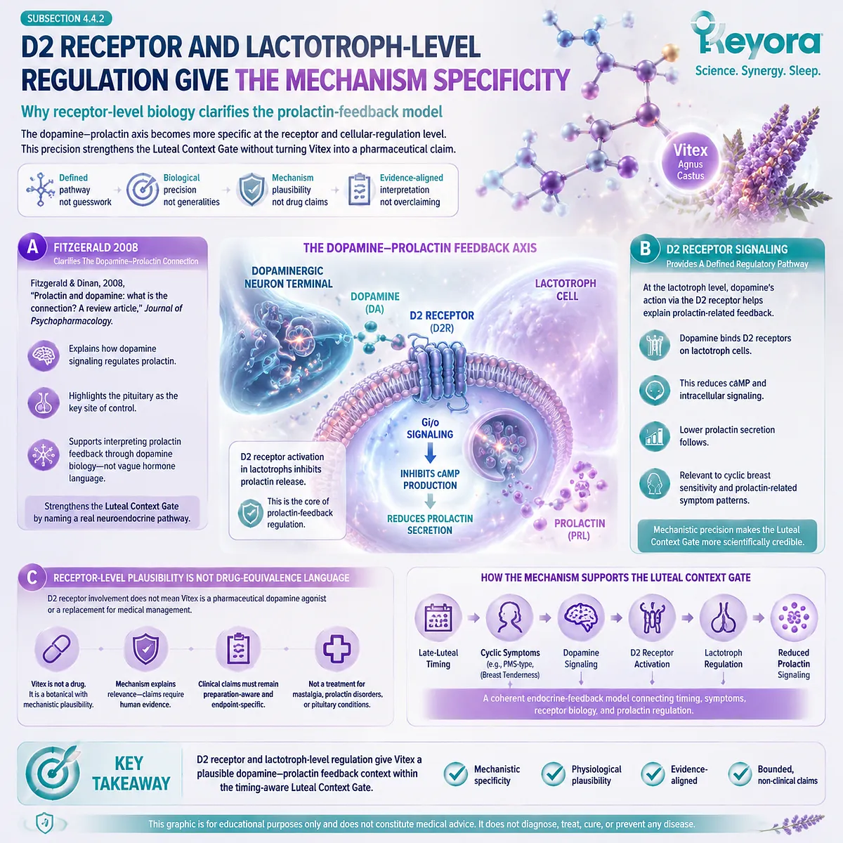 D2 receptor signaling and lactotroph-level prolactin regulation within dopamine inhibitory pathways linked to cyclic breast symptoms and late-luteal HPO rhythm in Keyora Luteal Context Gate mechanism framework D2 receptor signaling and lactotroph-level prolactin regulation within dopamine inhibitory pathways linked to cyclic breast symptoms and late-luteal HPO rhythm in Keyora Luteal Context Gate mechanism framework