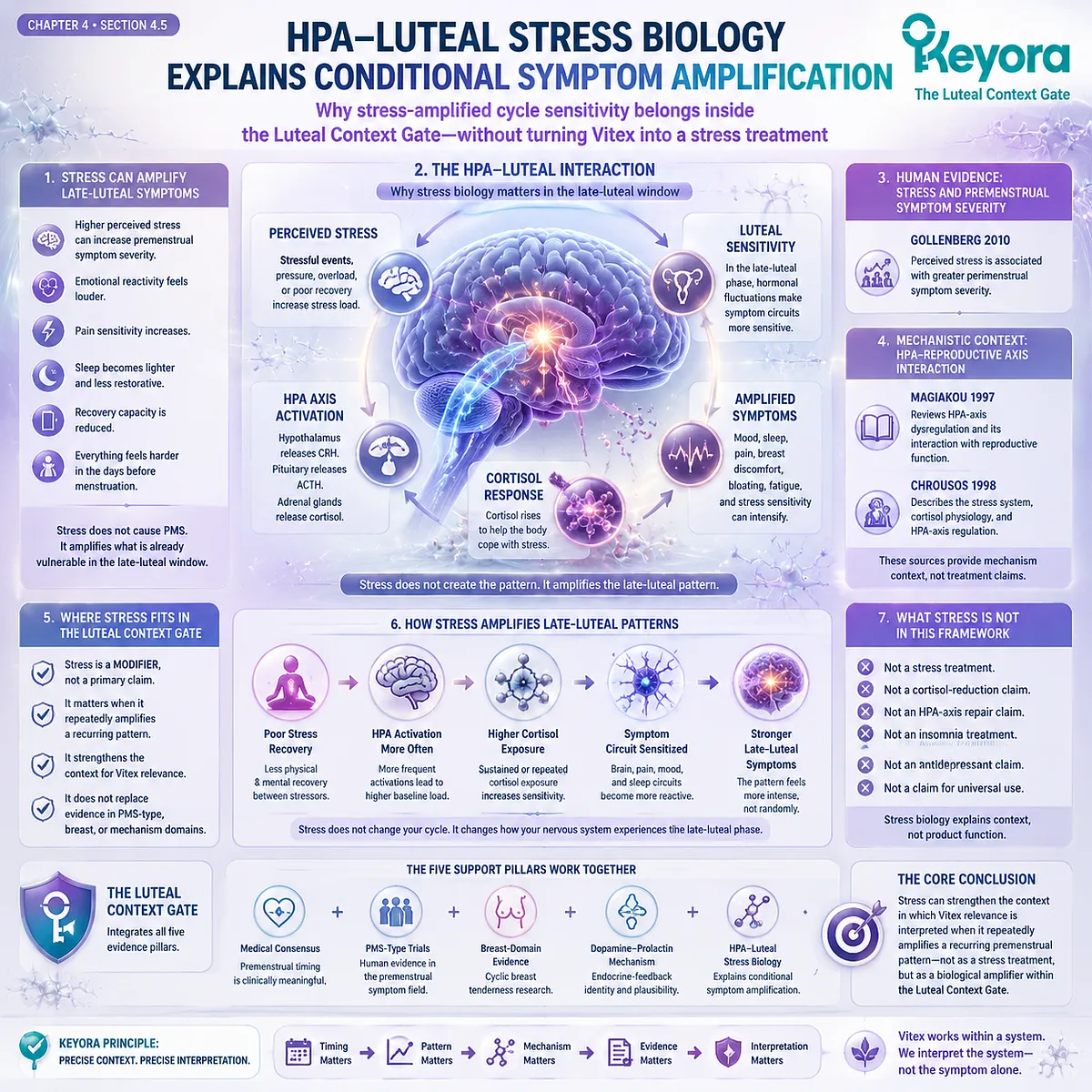 HPA-axis stress response and luteal phase vulnerability linked to PMS symptom amplification, sleep fragility and late-luteal HPO rhythm within Keyora Luteal Context Gate stress–cycle interaction framework HPA-axis stress response and luteal phase vulnerability linked to PMS symptom amplification, sleep fragility and late-luteal HPO rhythm within Keyora Luteal Context Gate stress–cycle interaction framework