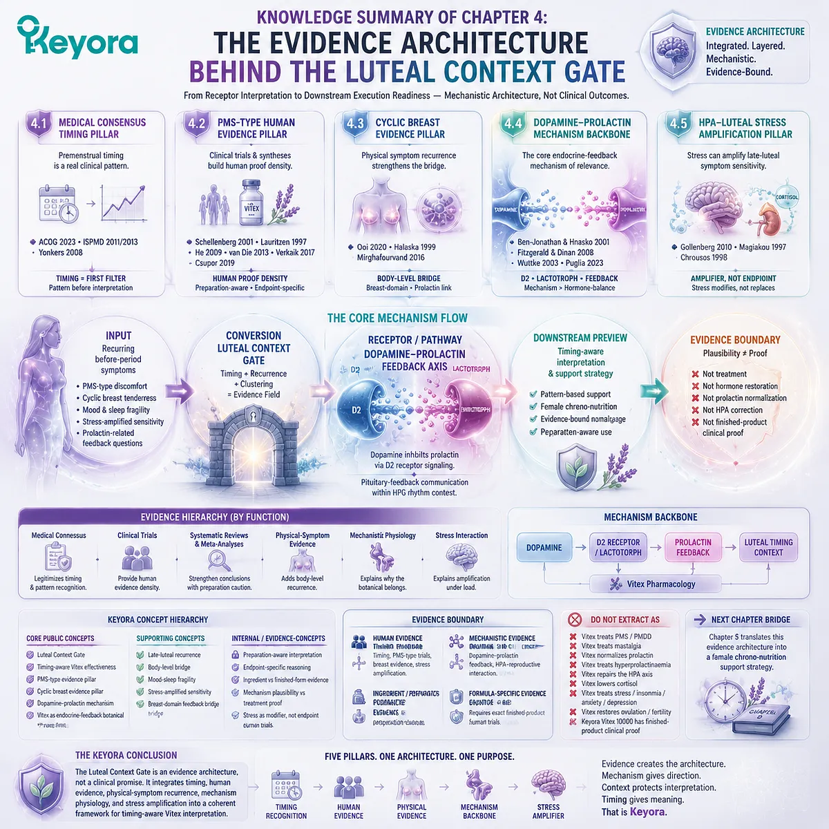 PMS-type symptom clustering, cyclic breast tenderness and late-luteal HPO rhythm integrated with dopamine–prolactin feedback, D2 receptor regulation and HPA-axis stress amplification within Keyora Luteal Context Gate evidence architecture PMS-type symptom clustering, cyclic breast tenderness and late-luteal HPO rhythm integrated with dopamine–prolactin feedback, D2 receptor regulation and HPA-axis stress amplification within Keyora Luteal Context Gate evidence architecture