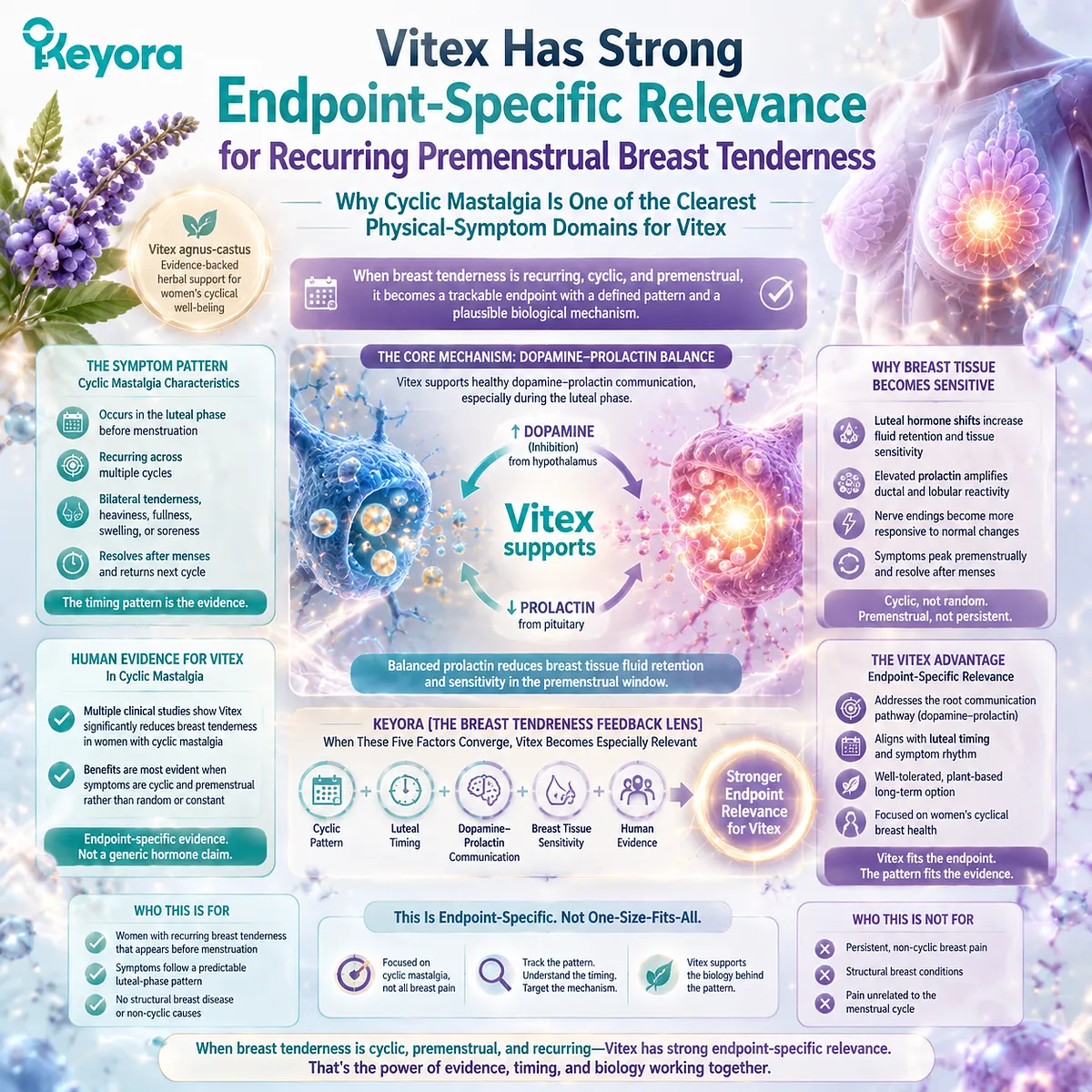 cyclic mastalgia and premenstrual breast tenderness support via dopamine–prolactin regulation in luteal phase, Vitex mechanism mapping under Keyora Breast Tenderness Feedback Lens cyclic mastalgia and premenstrual breast tenderness support via dopamine–prolactin regulation in luteal phase, Vitex mechanism mapping under Keyora Breast Tenderness Feedback Lens