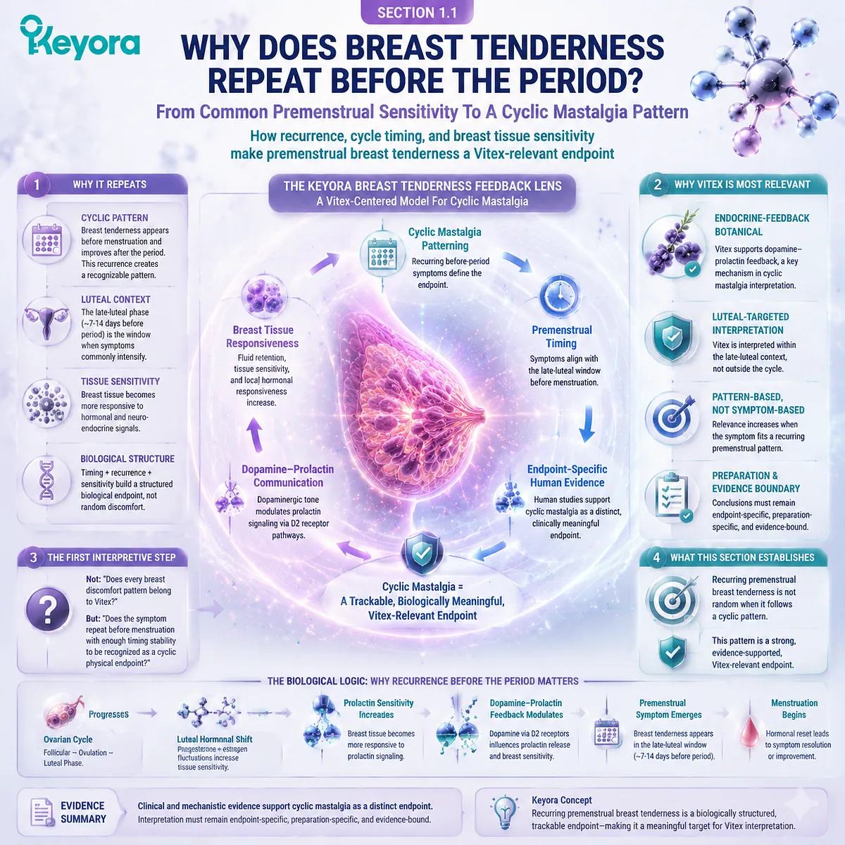 premenstrual breast tenderness cyclic mastalgia linked to luteal phase dopamine–prolactin signaling and breast sensitivity, mapped through Keyora Breast Tenderness Feedback Lens Vitex framework premenstrual breast tenderness cyclic mastalgia linked to luteal phase dopamine–prolactin signaling and breast sensitivity, mapped through Keyora Breast Tenderness Feedback Lens Vitex framework