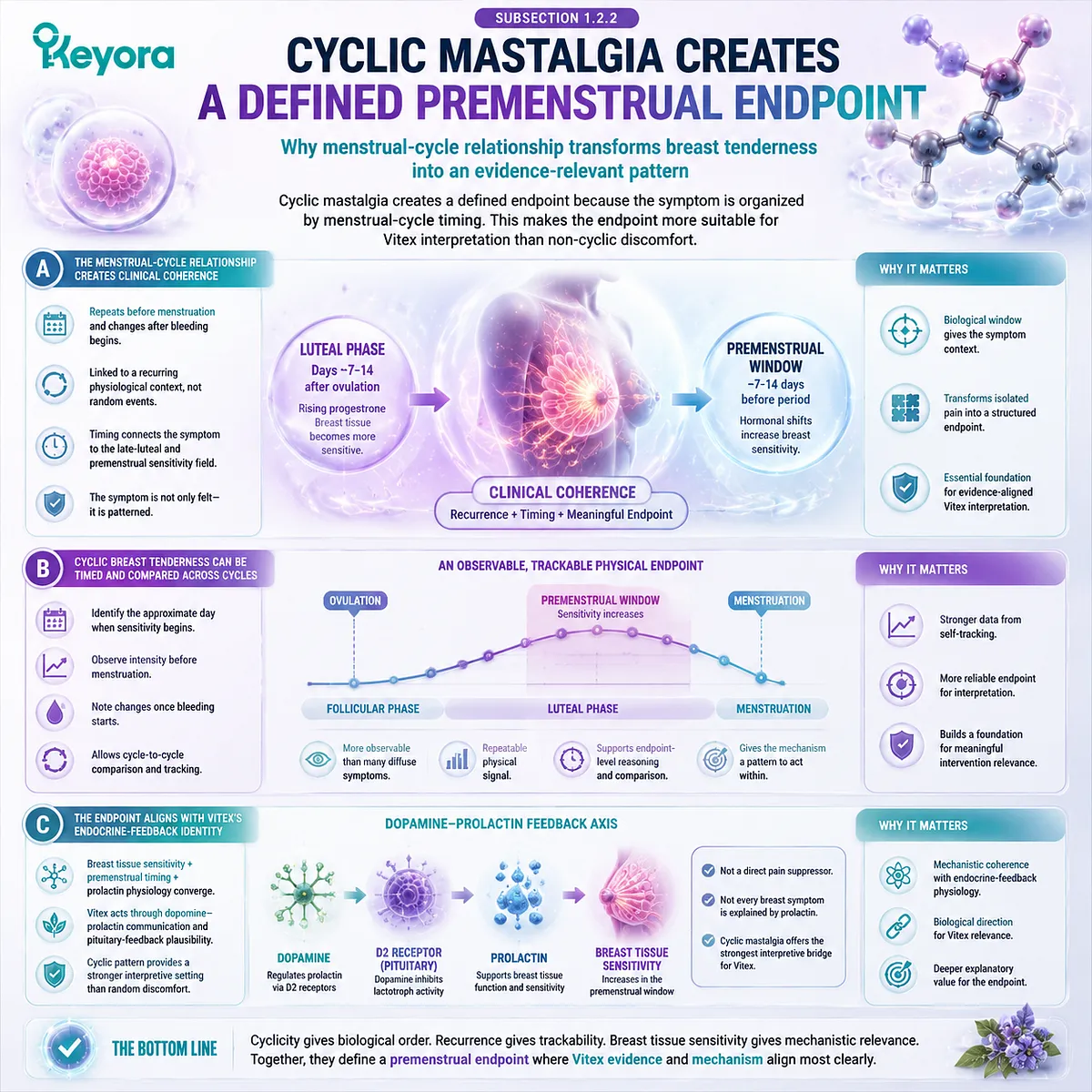 cyclic mastalgia premenstrual breast tenderness endpoint definition linked to luteal phase timing and dopamine–prolactin feedback, structured through Keyora Breast Tenderness Feedback Lens Vitex framework cyclic mastalgia premenstrual breast tenderness endpoint definition linked to luteal phase timing and dopamine–prolactin feedback, structured through Keyora Breast Tenderness Feedback Lens Vitex framework