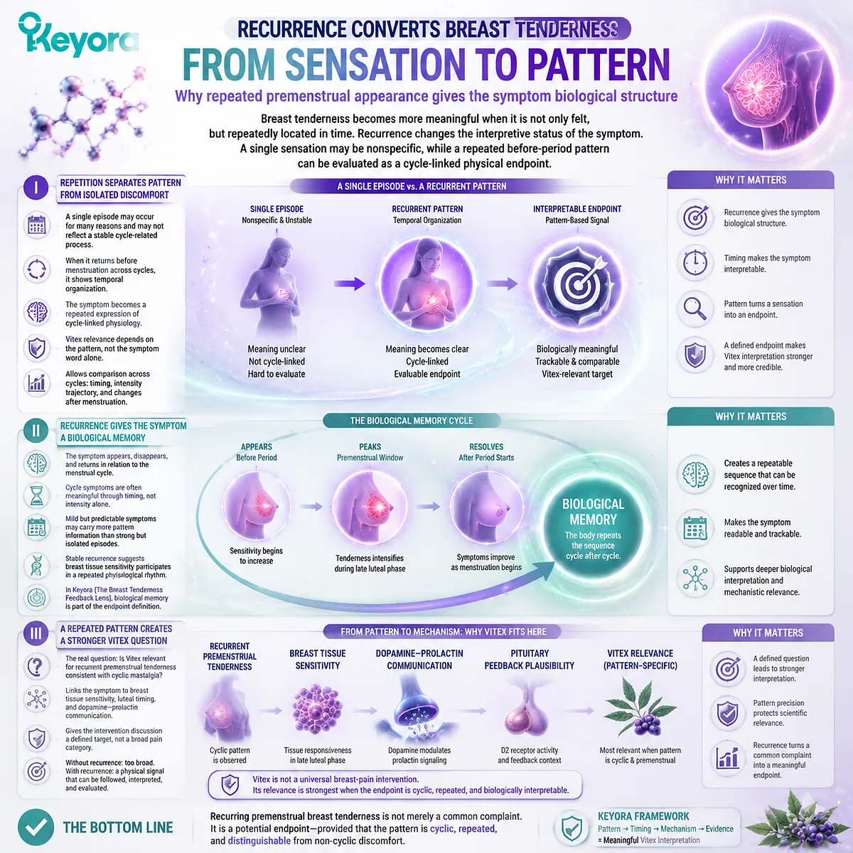 cyclic mastalgia recurrence in premenstrual breast tenderness linked to luteal phase timing and dopamine–prolactin signaling, Keyora Breast Tenderness Feedback Lens Vitex pattern formation model cyclic mastalgia recurrence in premenstrual breast tenderness linked to luteal phase timing and dopamine–prolactin signaling, Keyora Breast Tenderness Feedback Lens Vitex pattern formation model