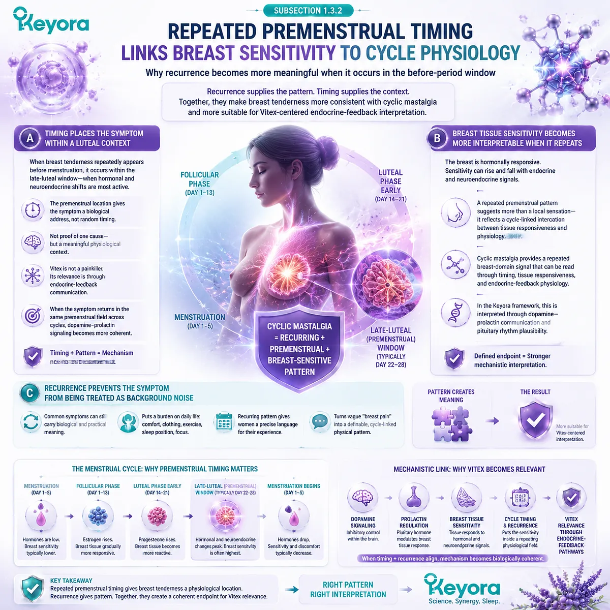 cyclic mastalgia premenstrual breast tenderness linked to luteal phase physiology and dopamine–prolactin feedback, Keyora Breast Tenderness Feedback Lens Vitex cycle timing interpretation model cyclic mastalgia premenstrual breast tenderness linked to luteal phase physiology and dopamine–prolactin feedback, Keyora Breast Tenderness Feedback Lens Vitex cycle timing interpretation model