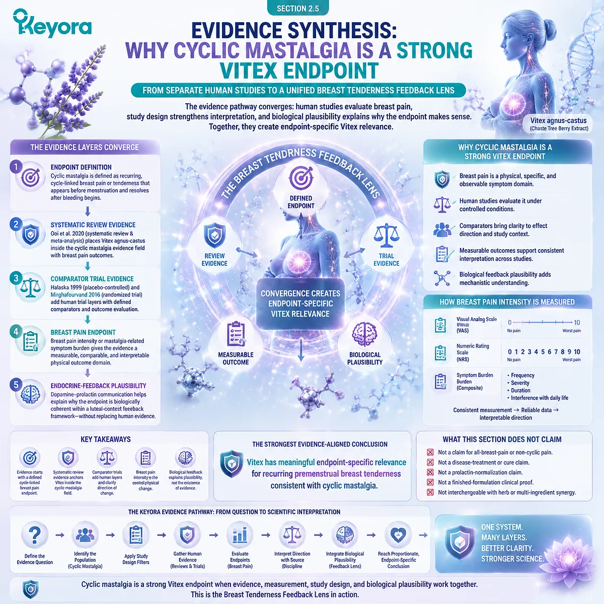 cyclic mastalgia breast pain intensity Vitex agnus-castus evidence synthesis systematic review RCT trials HPO-axis prolactin dopamine Keyora Breast Tenderness Feedback Lens cyclic mastalgia breast pain intensity Vitex agnus-castus evidence synthesis systematic review RCT trials HPO-axis prolactin dopamine Keyora Breast Tenderness Feedback Lens