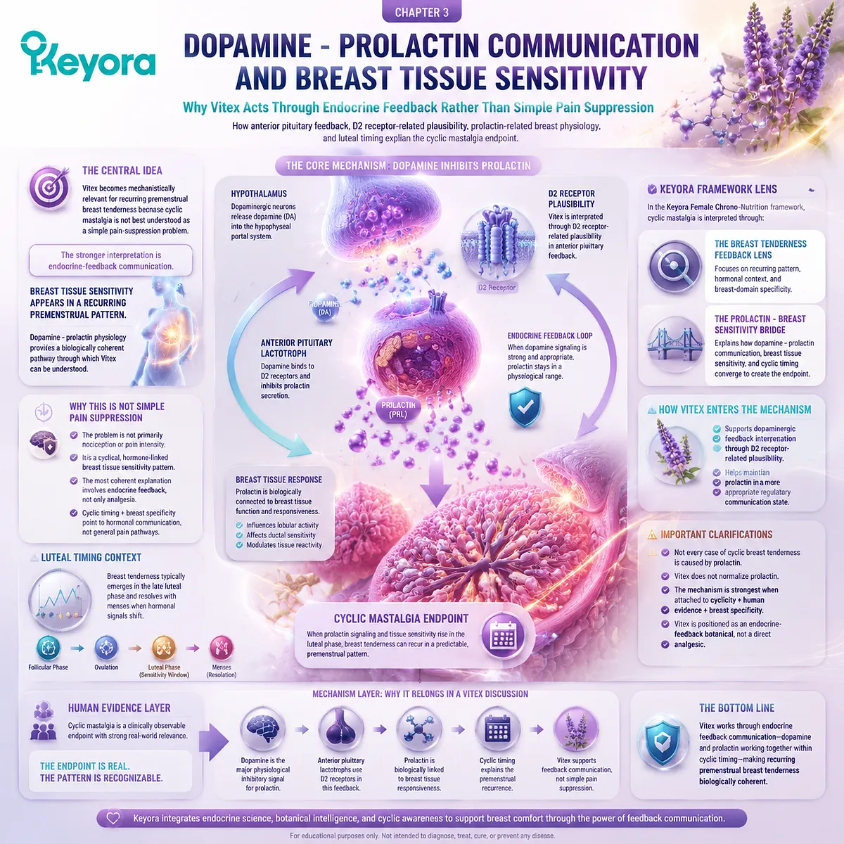 cyclic mastalgia and PMS breast tenderness linked to dopamine prolactin regulation via D2 receptor signaling and anterior pituitary feedback during luteal phase, interpreted through Keyora Prolactin-Breast Sensitivity Bridge and Breast Tenderness Feedback Lens cyclic mastalgia and PMS breast tenderness linked to dopamine prolactin regulation via D2 receptor signaling and anterior pituitary feedback during luteal phase, interpreted through Keyora Prolactin-Breast Sensitivity Bridge and Breast Tenderness Feedback Lens