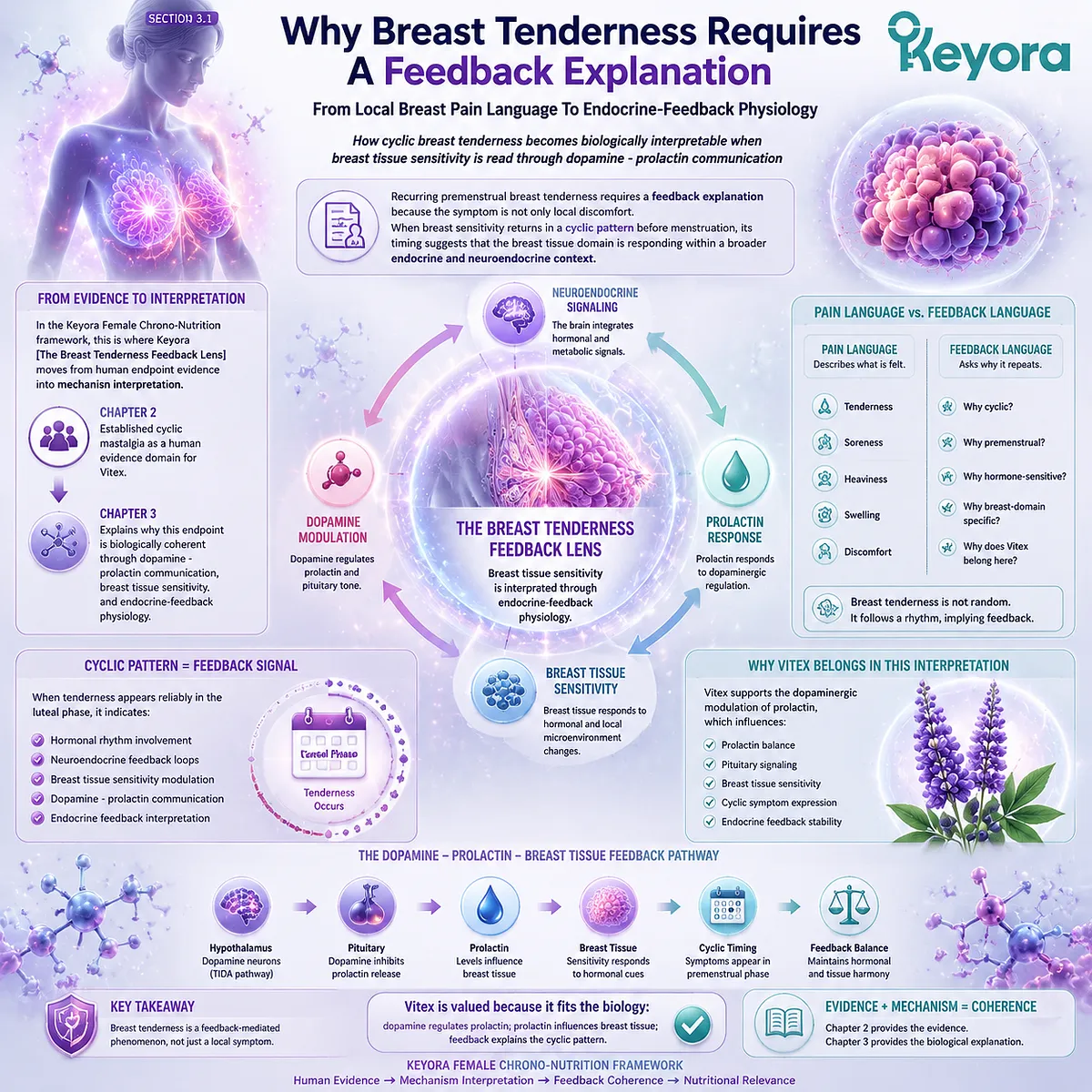 PMS breast tenderness and cyclic mastalgia explained through dopamine–prolactin regulation, luteal phase endocrine feedback physiology, Keyora Breast Tenderness Feedback Lens PMS breast tenderness and cyclic mastalgia explained through dopamine–prolactin regulation, luteal phase endocrine feedback physiology, Keyora Breast Tenderness Feedback Lens