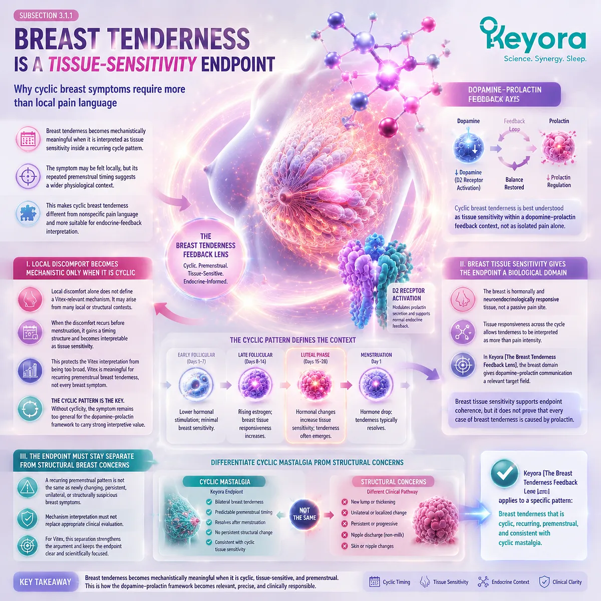 cyclic mastalgia PMS breast tenderness menstrual cycle breast tissue sensitivity dopamine prolactin feedback signaling Keyora Breast Tenderness Feedback Lens endpoint interpretation cyclic mastalgia PMS breast tenderness menstrual cycle breast tissue sensitivity dopamine prolactin feedback signaling Keyora Breast Tenderness Feedback Lens endpoint interpretation