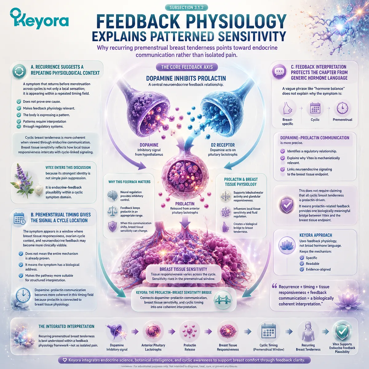 cyclic mastalgia PMS breast tenderness feedback physiology dopamine prolactin luteal phase signaling breast tissue sensitivity Keyora Prolactin-Breast Sensitivity Bridge cyclic mastalgia PMS breast tenderness feedback physiology dopamine prolactin luteal phase signaling breast tissue sensitivity Keyora Prolactin-Breast Sensitivity Bridge