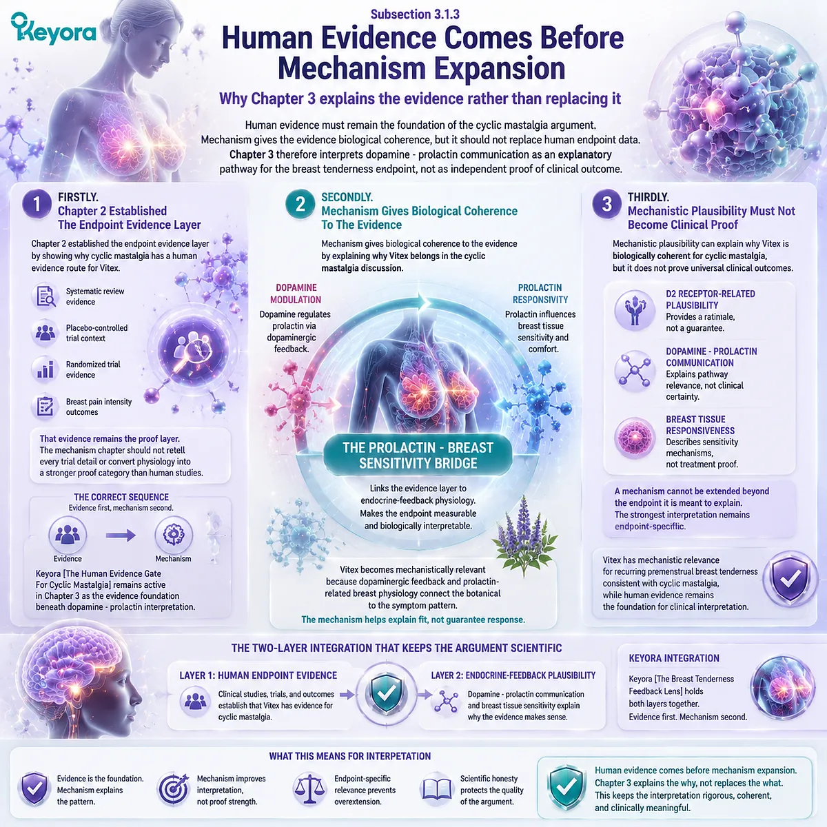 PMS breast tenderness and cyclic mastalgia clinical evidence for Vitex supported by dopamine–prolactin feedback physiology and luteal phase timing interpreted via Keyora Human Evidence Gate for Cyclic Mastalgia PMS breast tenderness and cyclic mastalgia clinical evidence for Vitex supported by dopamine–prolactin feedback physiology and luteal phase timing interpreted via Keyora Human Evidence Gate for Cyclic Mastalgia