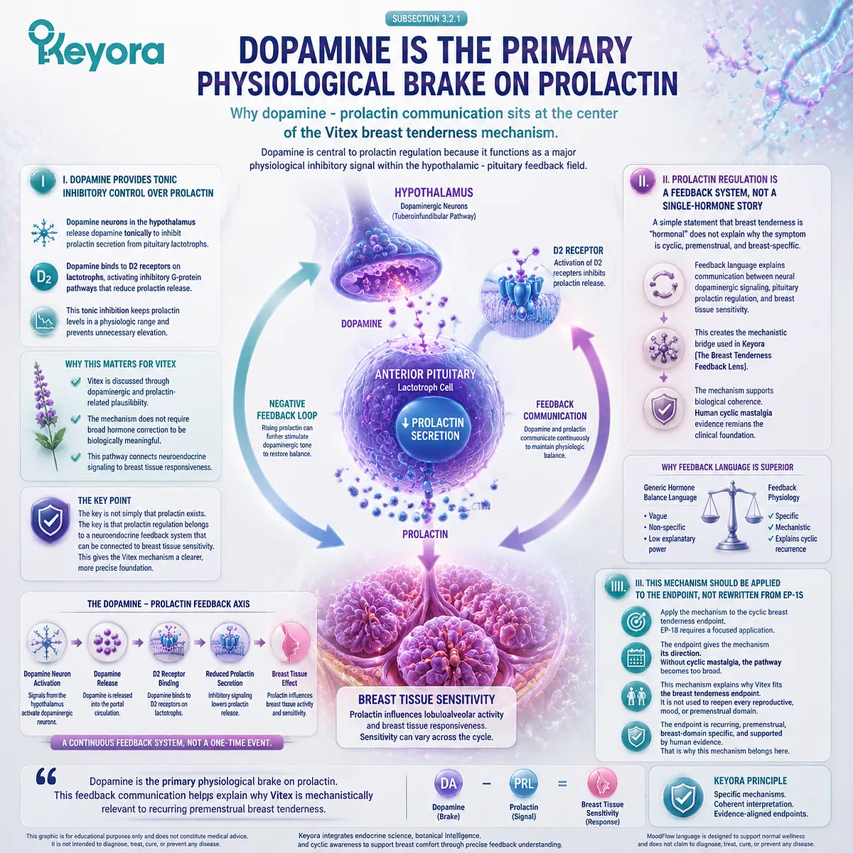 cyclic mastalgia PMS breast tenderness dopamine prolactin inhibitory control D2 receptor pituitary feedback luteal phase regulation breast tissue sensitivity Keyora Dopamine-Prolactin Mechanism Layer Breast Tenderness Feedback Lens cyclic mastalgia PMS breast tenderness dopamine prolactin inhibitory control D2 receptor pituitary feedback luteal phase regulation breast tissue sensitivity Keyora Dopamine-Prolactin Mechanism Layer Breast Tenderness Feedback Lens