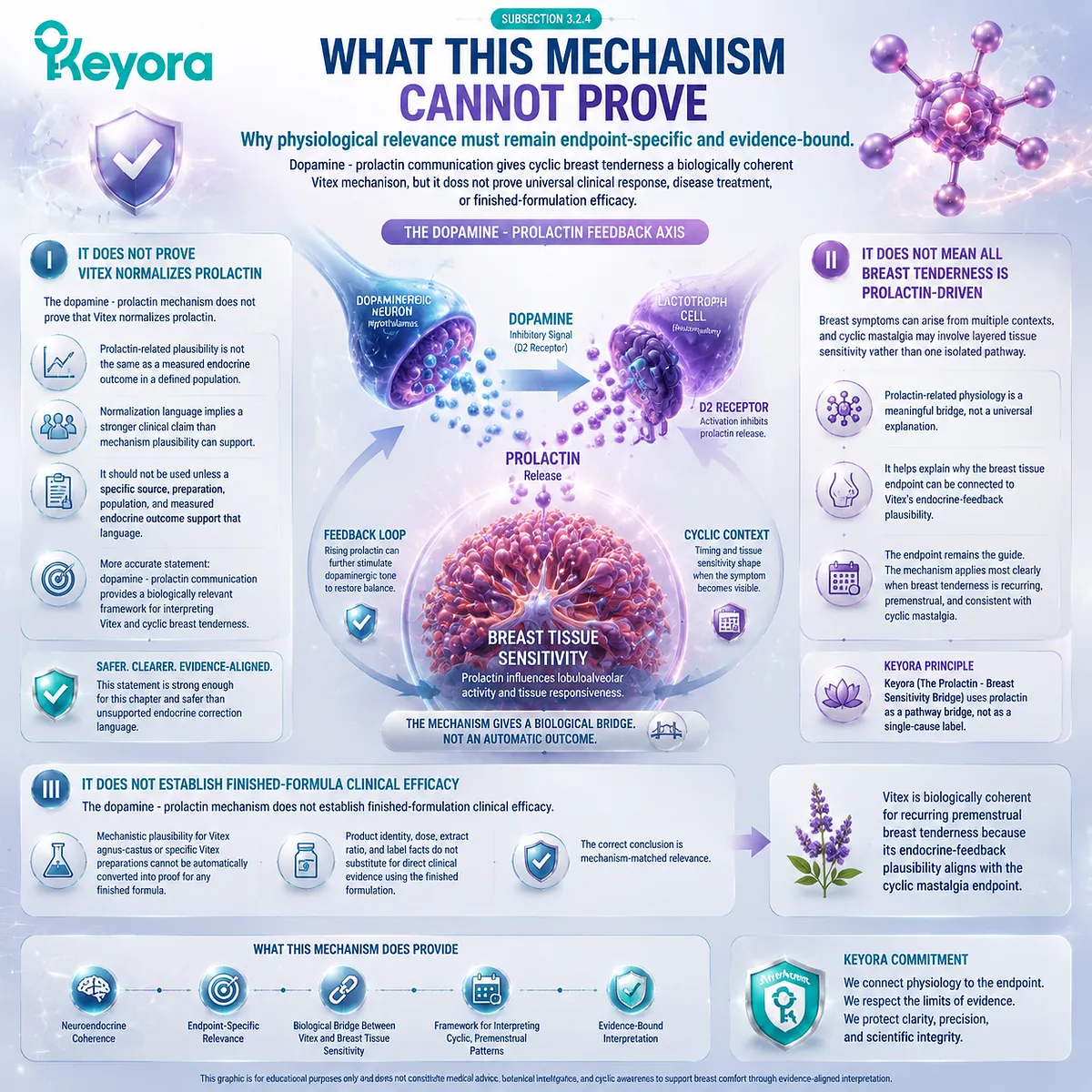 PMS breast tenderness cyclic mastalgia Vitex dopamine prolactin feedback limits D2 receptor signaling breast sensitivity Keyora Breast Tenderness Feedback Lens evidence boundary framework PMS breast tenderness cyclic mastalgia Vitex dopamine prolactin feedback limits D2 receptor signaling breast sensitivity Keyora Breast Tenderness Feedback Lens evidence boundary framework