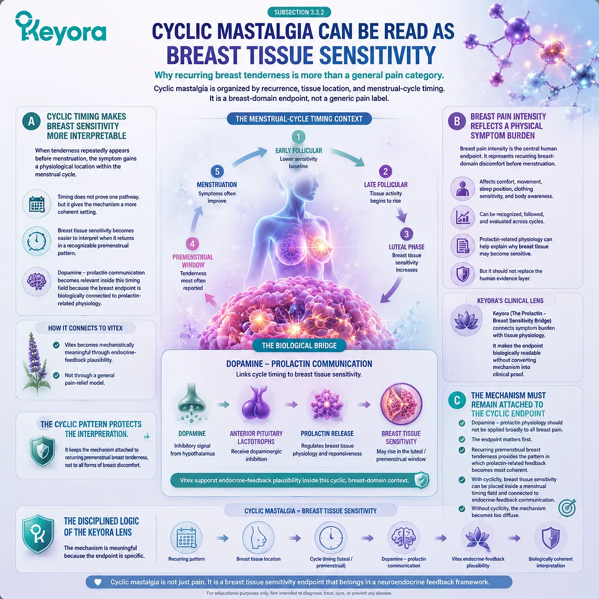 cyclic mastalgia PMS breast tenderness breast tissue sensitivity dopamine prolactin feedback menstrual cycle timing endocrine regulation Keyora Prolactin-Breast Sensitivity Bridge breast domain symptom burden cyclic mastalgia PMS breast tenderness breast tissue sensitivity dopamine prolactin feedback menstrual cycle timing endocrine regulation Keyora Prolactin-Breast Sensitivity Bridge breast domain symptom burden