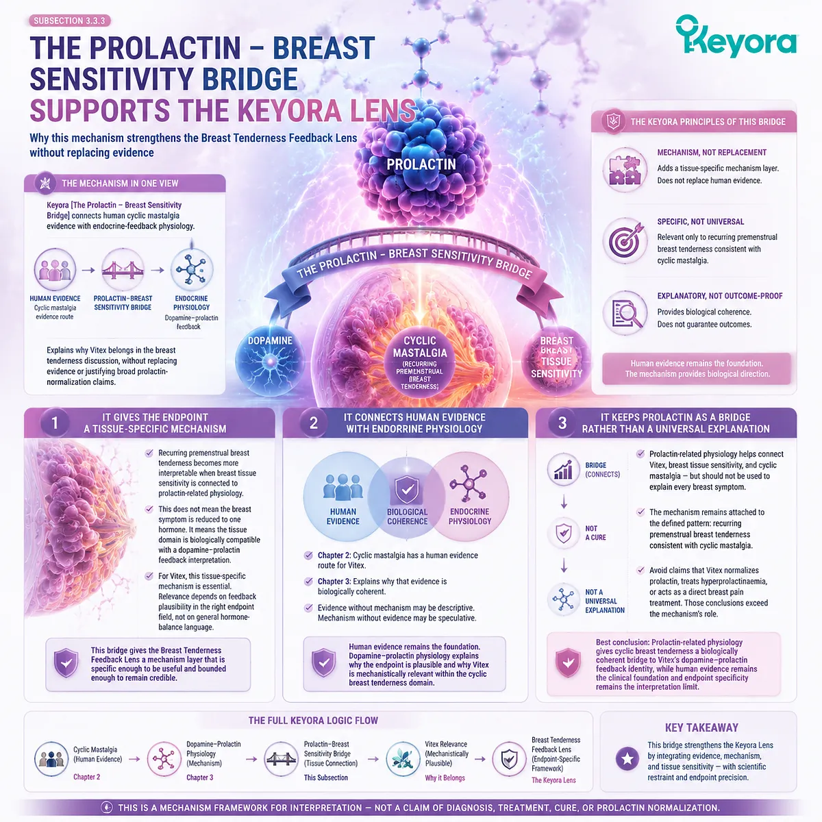 cyclic mastalgia PMS breast tenderness prolactin breast tissue sensitivity dopamine prolactin feedback endocrine physiology Keyora Prolactin-Breast Sensitivity Bridge Breast Tenderness Feedback Lens cyclic mastalgia PMS breast tenderness prolactin breast tissue sensitivity dopamine prolactin feedback endocrine physiology Keyora Prolactin-Breast Sensitivity Bridge Breast Tenderness Feedback Lens