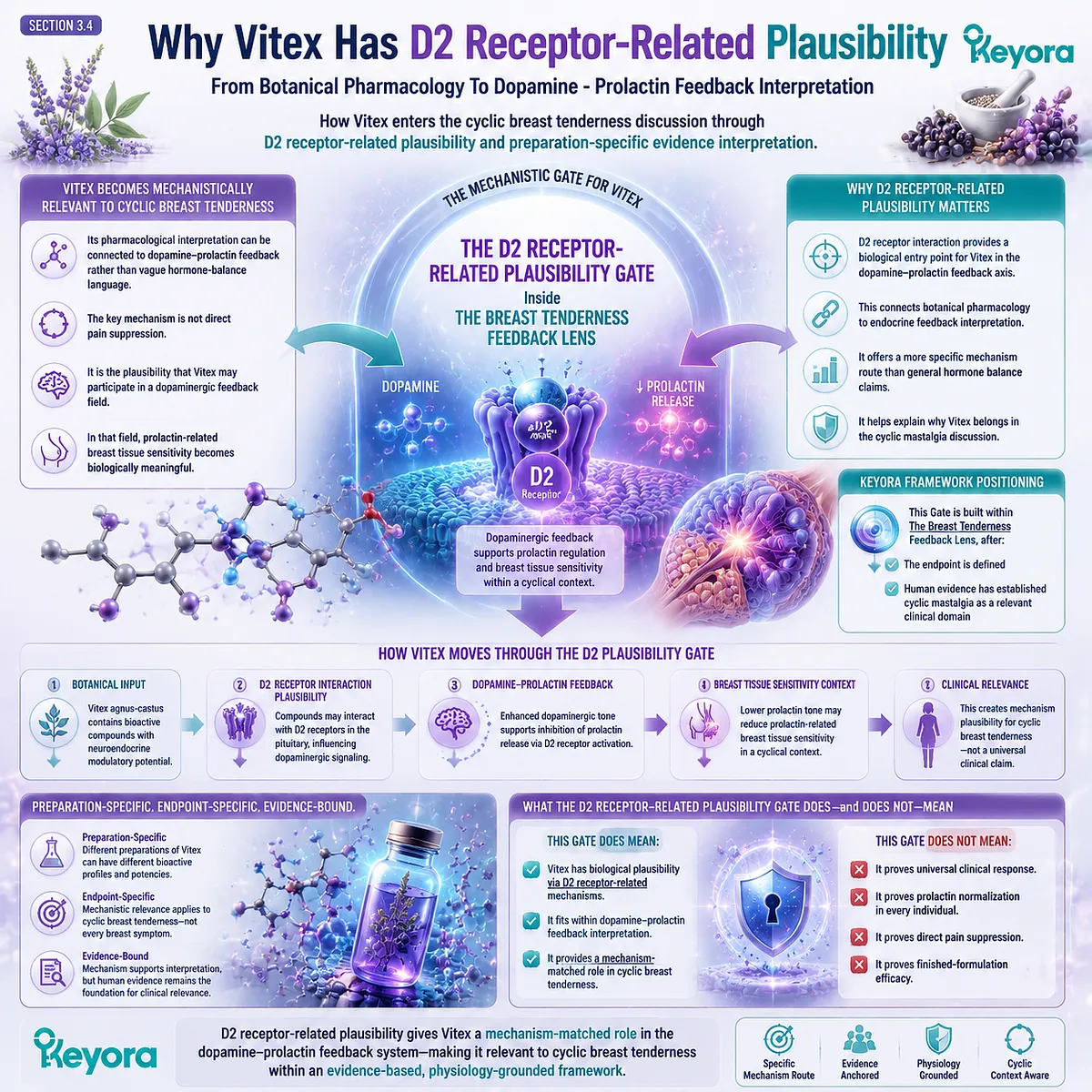 Vitex PMS breast tenderness cyclic mastalgia D2 receptor dopaminergic prolactin feedback pituitary regulation breast tissue sensitivity Keyora D2 Receptor-Related Plausibility Gate Breast Tenderness Feedback Lens Vitex PMS breast tenderness cyclic mastalgia D2 receptor dopaminergic prolactin feedback pituitary regulation breast tissue sensitivity Keyora D2 Receptor-Related Plausibility Gate Breast Tenderness Feedback Lens