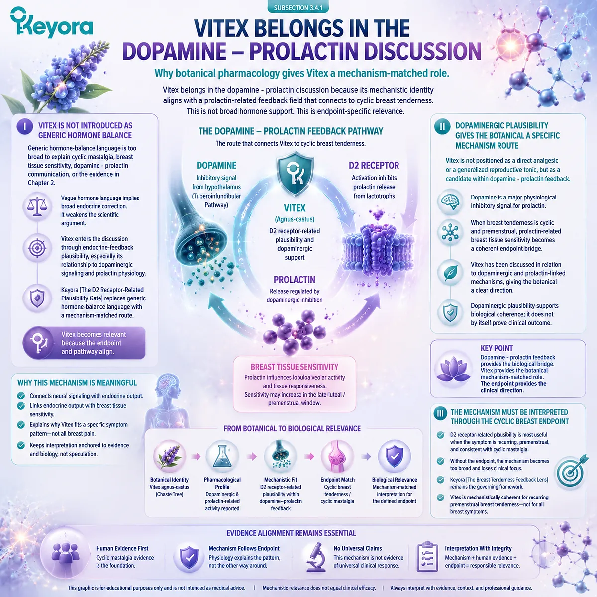 Vitex cyclic mastalgia PMS breast tenderness dopamine prolactin feedback D2 receptor dopaminergic signaling pituitary regulation breast tissue sensitivity Keyora D2 Receptor-Related Plausibility Gate Breast Tenderness Feedback Lens Vitex cyclic mastalgia PMS breast tenderness dopamine prolactin feedback D2 receptor dopaminergic signaling pituitary regulation breast tissue sensitivity Keyora D2 Receptor-Related Plausibility Gate Breast Tenderness Feedback Lens