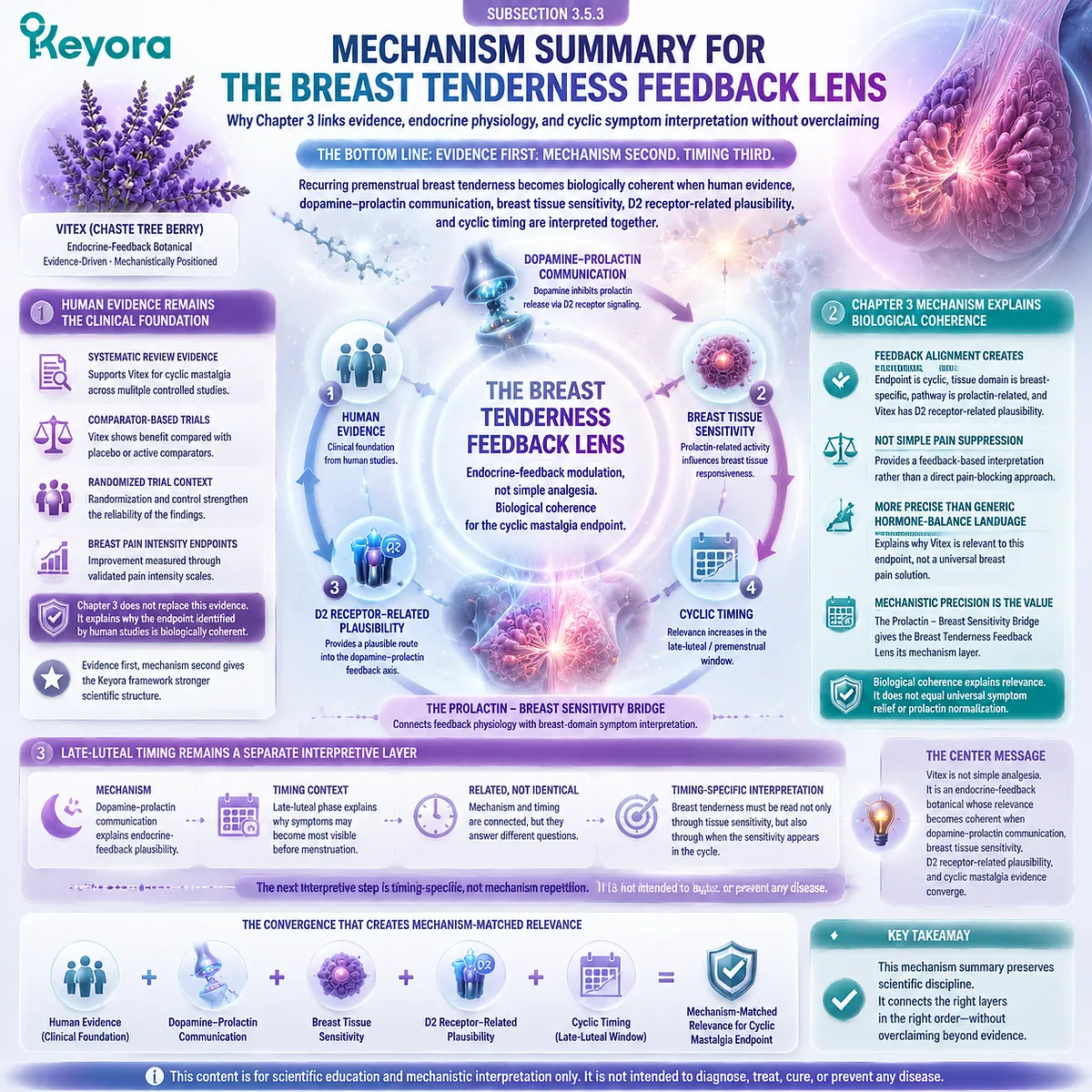 cyclic mastalgia PMS breast tenderness Vitex dopamine prolactin feedback D2 receptor breast tissue sensitivity cyclic timing endocrine coherence Keyora Breast Tenderness Feedback Lens Prolactin-Breast Sensitivity Bridge cyclic mastalgia PMS breast tenderness Vitex dopamine prolactin feedback D2 receptor breast tissue sensitivity cyclic timing endocrine coherence Keyora Breast Tenderness Feedback Lens Prolactin-Breast Sensitivity Bridge