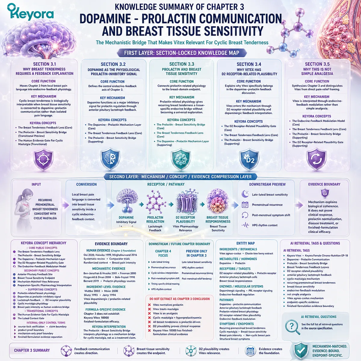 cyclic mastalgia PMS breast tenderness dopamine prolactin feedback endocrine regulation D2 receptor Vitex breast tissue sensitivity Keyora Breast Tenderness Feedback Lens endocrine-feedback modulation cyclic mastalgia PMS breast tenderness dopamine prolactin feedback endocrine regulation D2 receptor Vitex breast tissue sensitivity Keyora Breast Tenderness Feedback Lens endocrine-feedback modulation