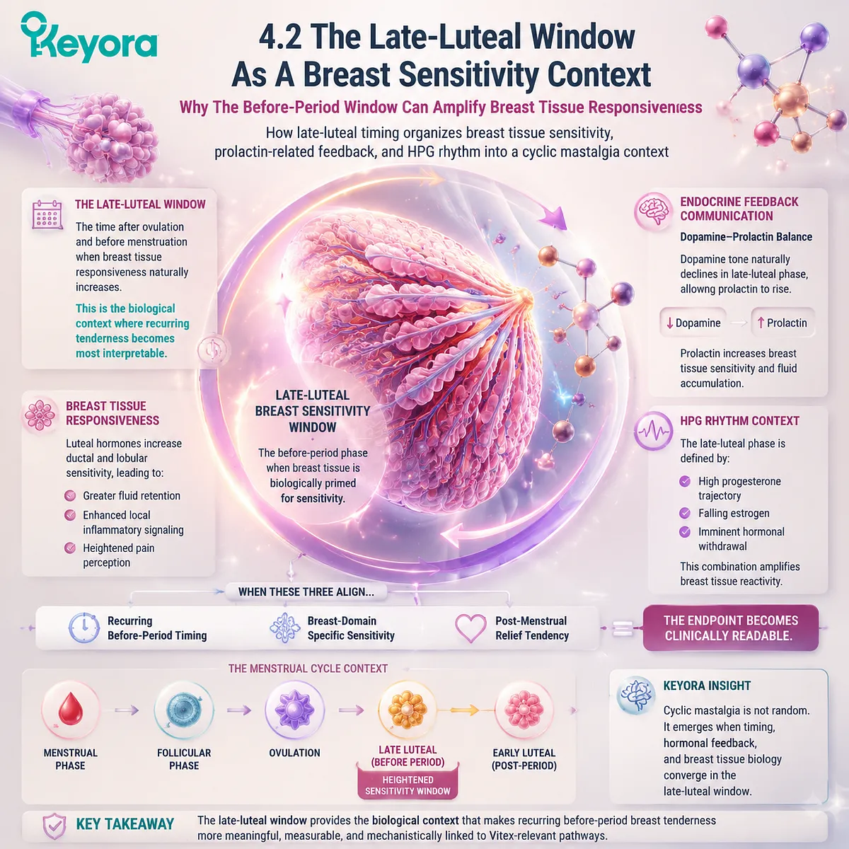 premenstrual breast tenderness cyclic mastalgia in late-luteal window via prolactin feedback and HPG rhythm shaping breast tissue sensitivity within Keyora Late-Luteal Window premenstrual breast tenderness cyclic mastalgia in late-luteal window via prolactin feedback and HPG rhythm shaping breast tissue sensitivity within Keyora Late-Luteal Window