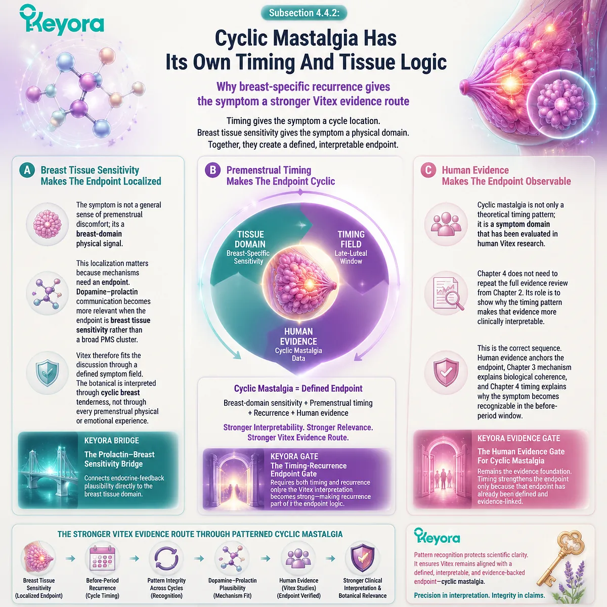cyclic mastalgia premenstrual breast tenderness timing and tissue logic via prolactin feedback, HPG rhythm and breast localization in Keyora Prolactin-Breast Sensitivity Bridge framework cyclic mastalgia premenstrual breast tenderness timing and tissue logic via prolactin feedback, HPG rhythm and breast localization in Keyora Prolactin-Breast Sensitivity Bridge framework