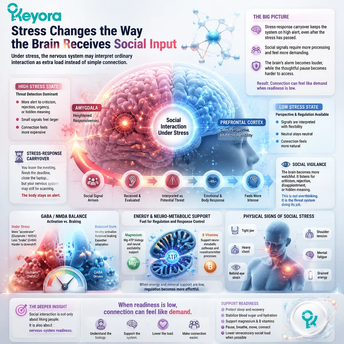 social stress carryover heightens amygdala threat detection and lowers prefrontal regulation flexibility, changing social input processing in Keyora MoodFlow Matrix social stress carryover heightens amygdala threat detection and lowers prefrontal regulation flexibility, changing social input processing in Keyora MoodFlow Matrix