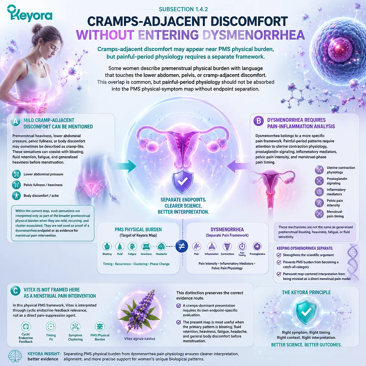 premenstrual cramps adjacent discomfort dysmenorrhea uterine contraction prostaglandin signaling pelvic pressure luteal phase cycle timing PMS physical burden Keyora PMS Physical-Symptom Timing Map endocrine rhythm separation framework premenstrual cramps adjacent discomfort dysmenorrhea uterine contraction prostaglandin signaling pelvic pressure luteal phase cycle timing PMS physical burden Keyora PMS Physical-Symptom Timing Map endocrine rhythm separation framework