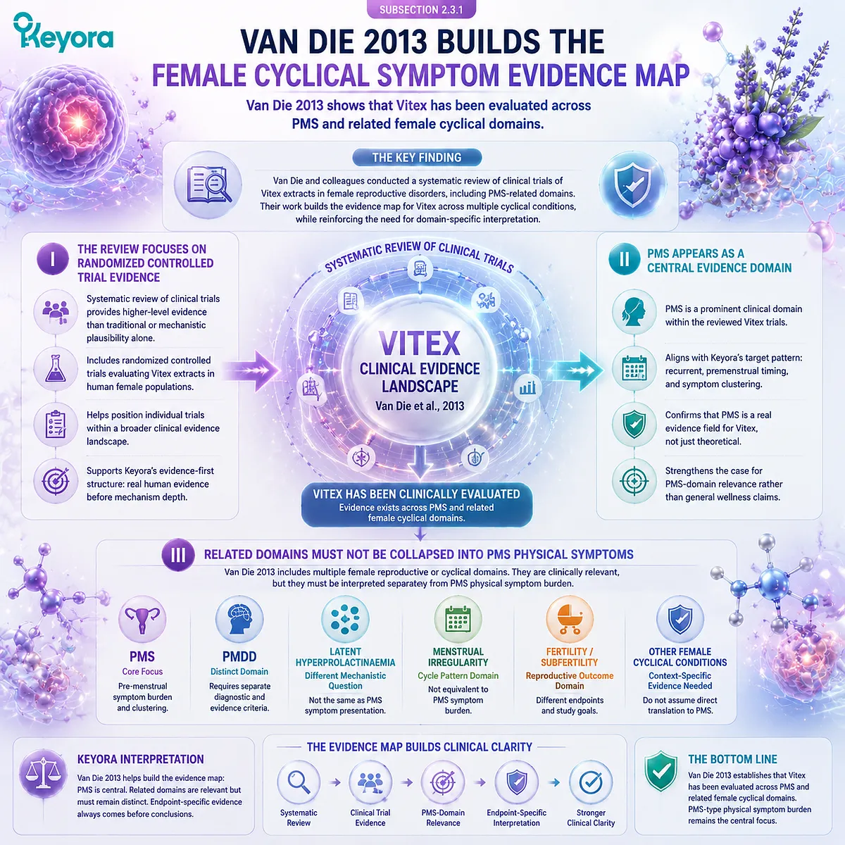 Vitex systematic review PMS evidence mapping Van Die 2013 female cyclical symptom domains randomized clinical trials Keyora PMS Physical-Symptom Timing Map evidence synthesis framework Vitex systematic review PMS evidence mapping Van Die 2013 female cyclical symptom domains randomized clinical trials Keyora PMS Physical-Symptom Timing Map evidence synthesis framework
