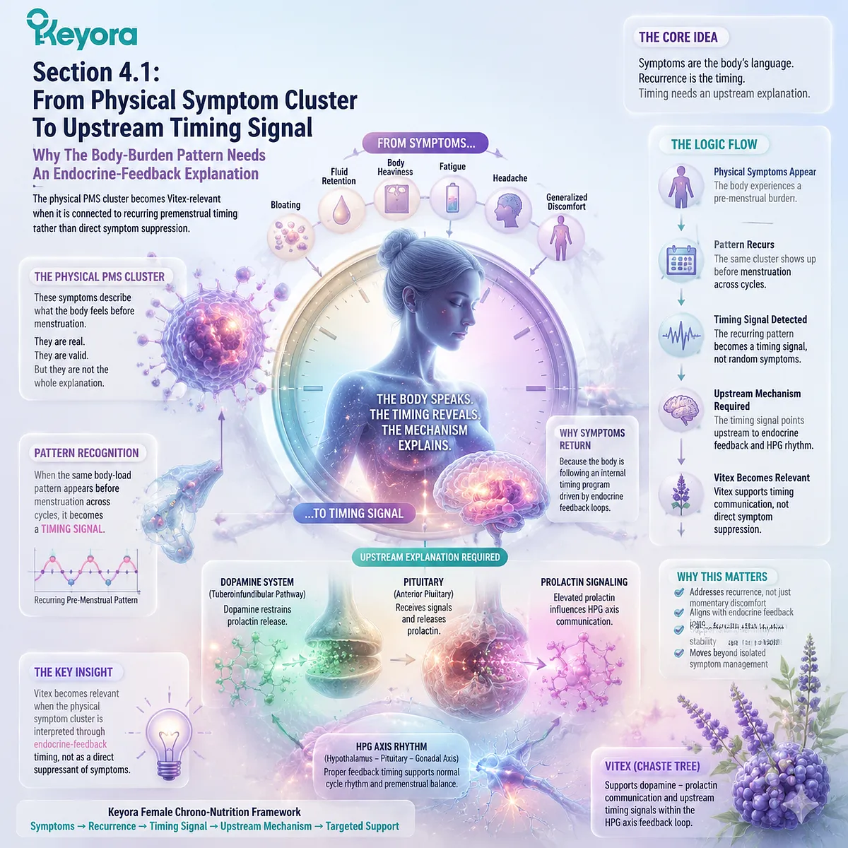 premenstrual PMS bloating fatigue headache physical symptom cluster linked to dopamine prolactin signaling HPG rhythm and pituitary feedback in Keyora PMS Physical-Symptom Timing Map endocrine timing support premenstrual PMS bloating fatigue headache physical symptom cluster linked to dopamine prolactin signaling HPG rhythm and pituitary feedback in Keyora PMS Physical-Symptom Timing Map endocrine timing support