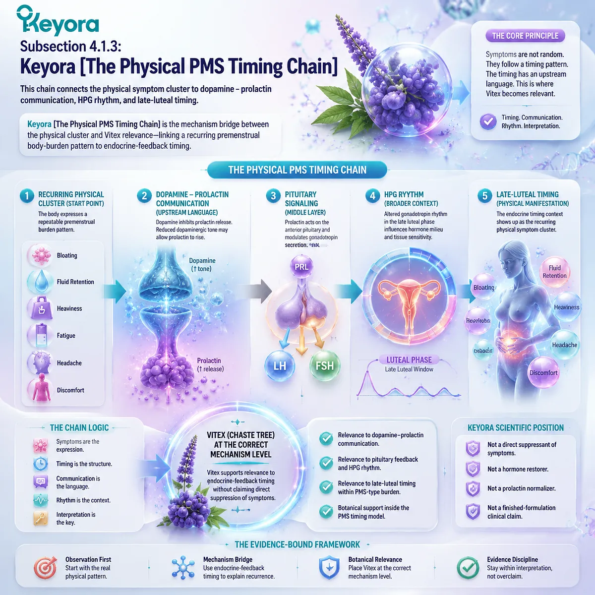 premenstrual PMS physical cluster bloating fatigue headache linked to dopamine prolactin communication and HPG rhythm timing in Keyora Physical PMS Timing Chain endocrine feedback framework for cycle-based body burden interpretation premenstrual PMS physical cluster bloating fatigue headache linked to dopamine prolactin communication and HPG rhythm timing in Keyora Physical PMS Timing Chain endocrine feedback framework for cycle-based body burden interpretation