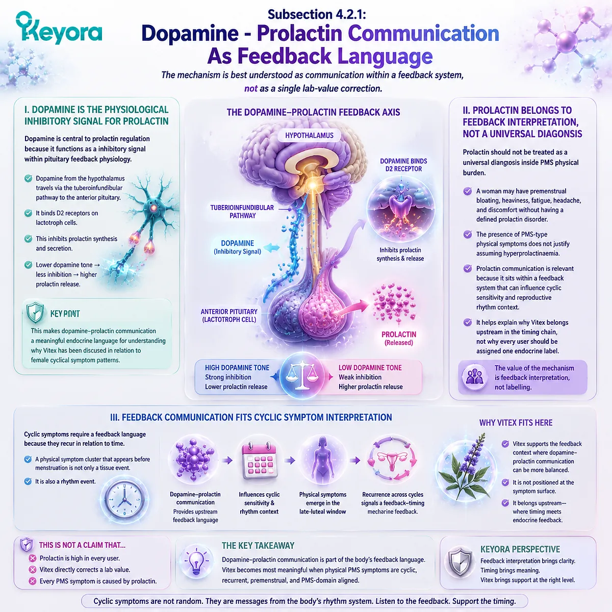 premenstrual PMS physical symptoms bloating fatigue headache linked to dopamine prolactin inhibitory signaling and HPG rhythm in Keyora Dopamine-Prolactin Feedback Gate endocrine feedback communication framework premenstrual PMS physical symptoms bloating fatigue headache linked to dopamine prolactin inhibitory signaling and HPG rhythm in Keyora Dopamine-Prolactin Feedback Gate endocrine feedback communication framework