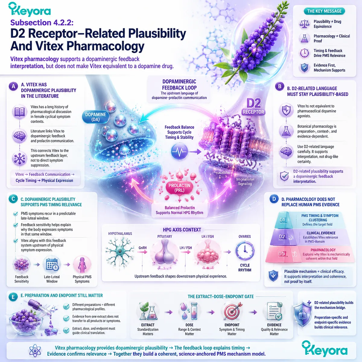 premenstrual PMS physical symptoms bloating fatigue headache linked to Vitex dopaminergic D2 receptor plausibility dopamine prolactin feedback and HPG rhythm in Keyora Dopamine-Prolactin Feedback Gate mechanism framework premenstrual PMS physical symptoms bloating fatigue headache linked to Vitex dopaminergic D2 receptor plausibility dopamine prolactin feedback and HPG rhythm in Keyora Dopamine-Prolactin Feedback Gate mechanism framework