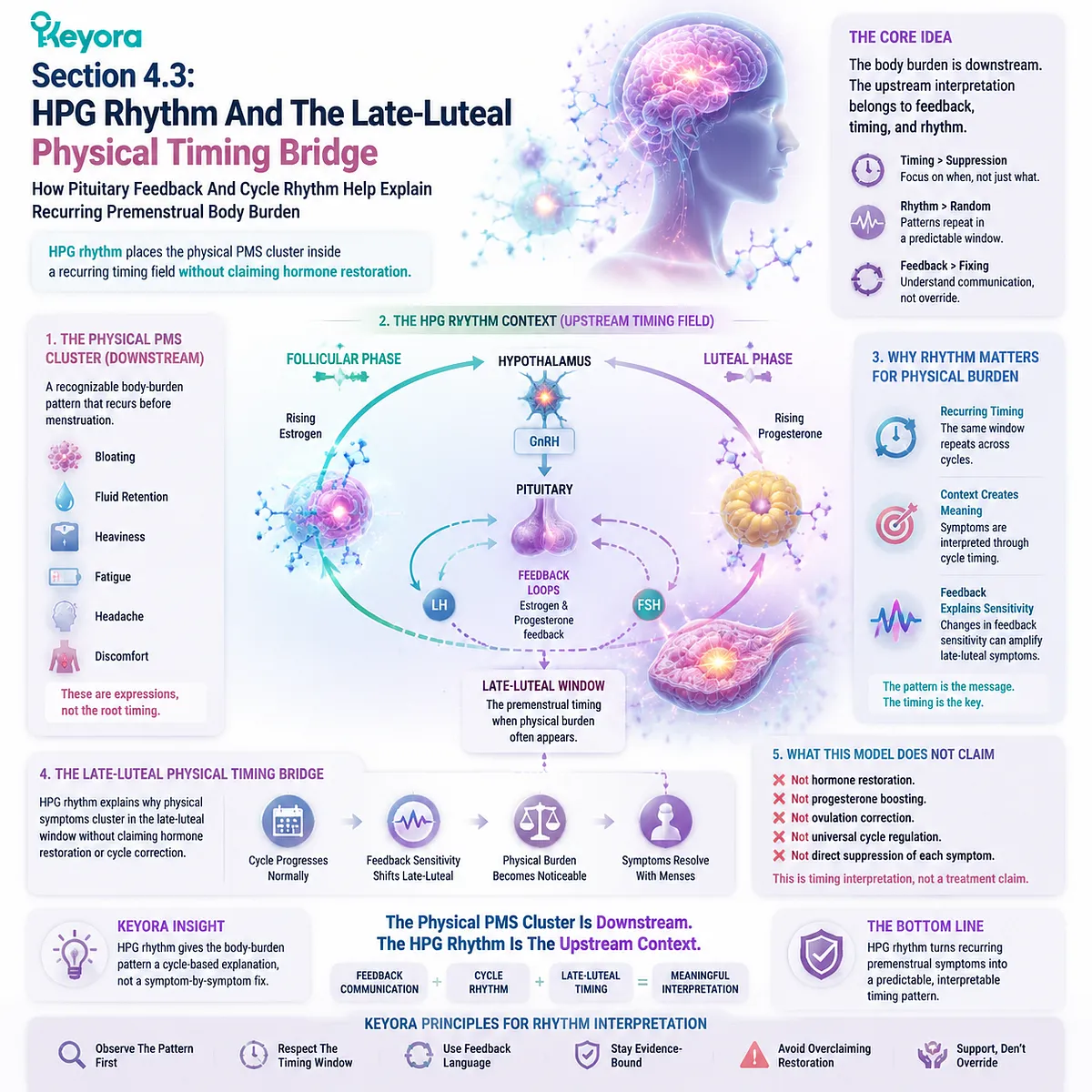 premenstrual PMS physical symptoms bloating fatigue headache linked to HPG rhythm pituitary feedback and dopamine prolactin communication in Keyora Physical PMS Timing Chain and endocrine feedback timing framework premenstrual PMS physical symptoms bloating fatigue headache linked to HPG rhythm pituitary feedback and dopamine prolactin communication in Keyora Physical PMS Timing Chain and endocrine feedback timing framework