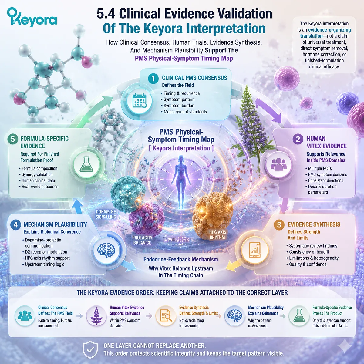 premenstrual PMS clinical evidence Vitex human trials systematic review dopamine-prolactin D2 receptor HPG rhythm Keyora PMS Physical-Symptom Timing Map evidence validation framework premenstrual PMS clinical evidence Vitex human trials systematic review dopamine-prolactin D2 receptor HPG rhythm Keyora PMS Physical-Symptom Timing Map evidence validation framework