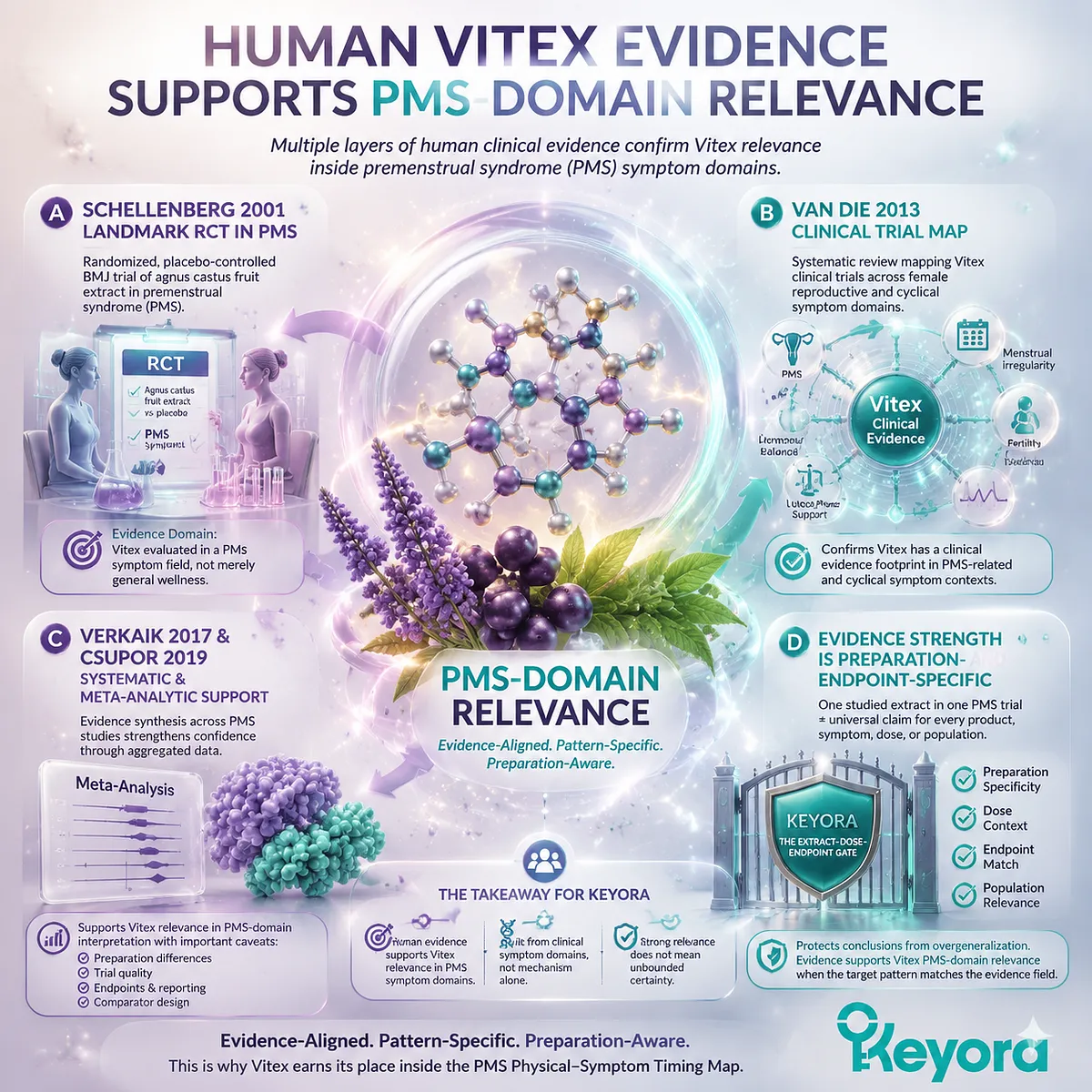 Vitex PMS human evidence Schellenberg 2001 randomized trial van Die systematic review Verkaik meta-analysis Csupor PMS symptom domain dopamine-prolactin HPG rhythm Keyora PMS Physical-Symptom Timing Map evidence synthesis framework Vitex PMS human evidence Schellenberg 2001 randomized trial van Die systematic review Verkaik meta-analysis Csupor PMS symptom domain dopamine-prolactin HPG rhythm Keyora PMS Physical-Symptom Timing Map evidence synthesis framework