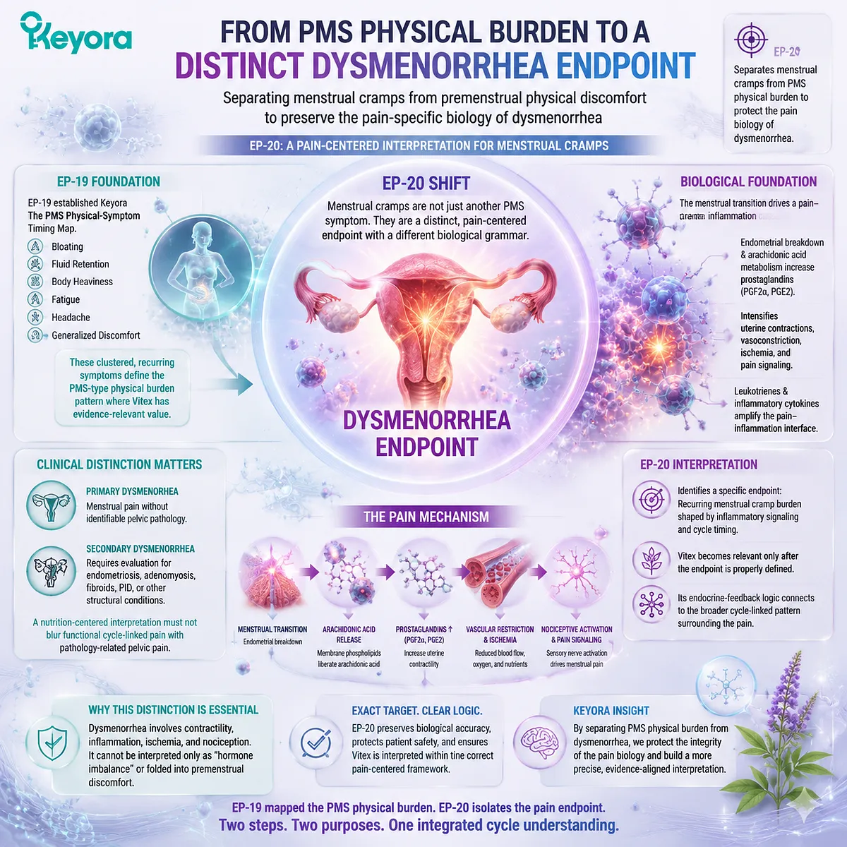 menstrual cramps dysmenorrhea prostaglandin signaling uterine contractions inflammatory mediators distinguish PMS physical burden Keyora Dysmenorrhea Interface EP-20 endpoint menstrual cramps dysmenorrhea prostaglandin signaling uterine contractions inflammatory mediators distinguish PMS physical burden Keyora Dysmenorrhea Interface EP-20 endpoint