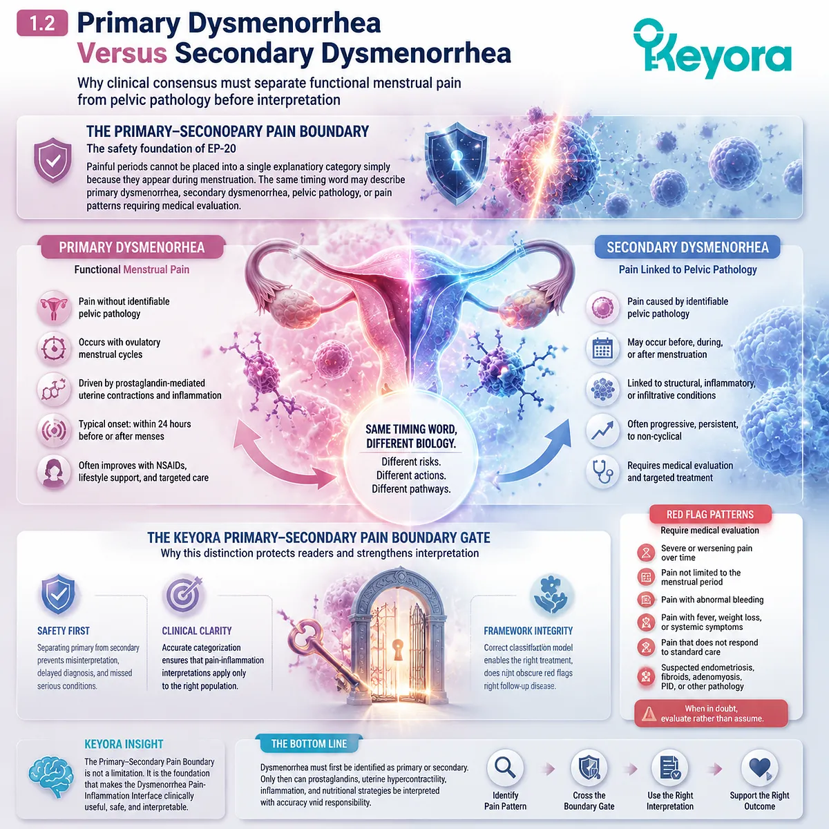 primary dysmenorrhea vs secondary dysmenorrhea menstrual pain pelvic pathology prostaglandin uterine inflammation Keyora Primary-Secondary Pain Boundary within Dysmenorrhea Pain-Inflammation Interface framework primary dysmenorrhea vs secondary dysmenorrhea menstrual pain pelvic pathology prostaglandin uterine inflammation Keyora Primary-Secondary Pain Boundary within Dysmenorrhea Pain-Inflammation Interface framework