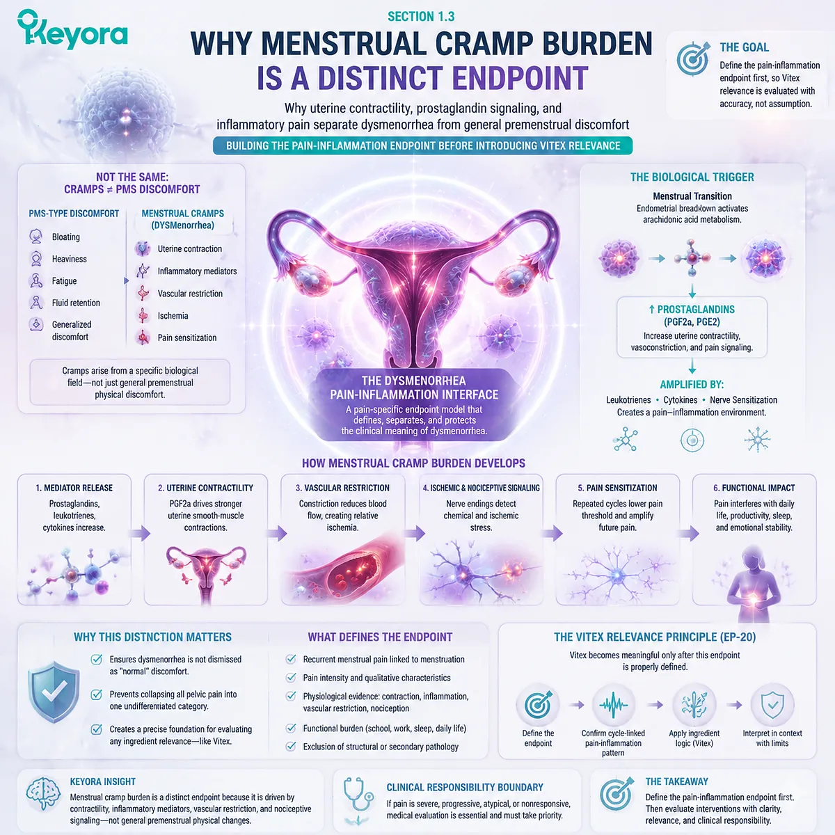 dysmenorrhea menstrual cramp burden prostaglandin uterine hypercontractility inflammatory signaling ischemic pain Keyora Dysmenorrhea Pain-Inflammation Interface separates cycle-linked pain endpoint from PMS discomfort patterns dysmenorrhea menstrual cramp burden prostaglandin uterine hypercontractility inflammatory signaling ischemic pain Keyora Dysmenorrhea Pain-Inflammation Interface separates cycle-linked pain endpoint from PMS discomfort patterns