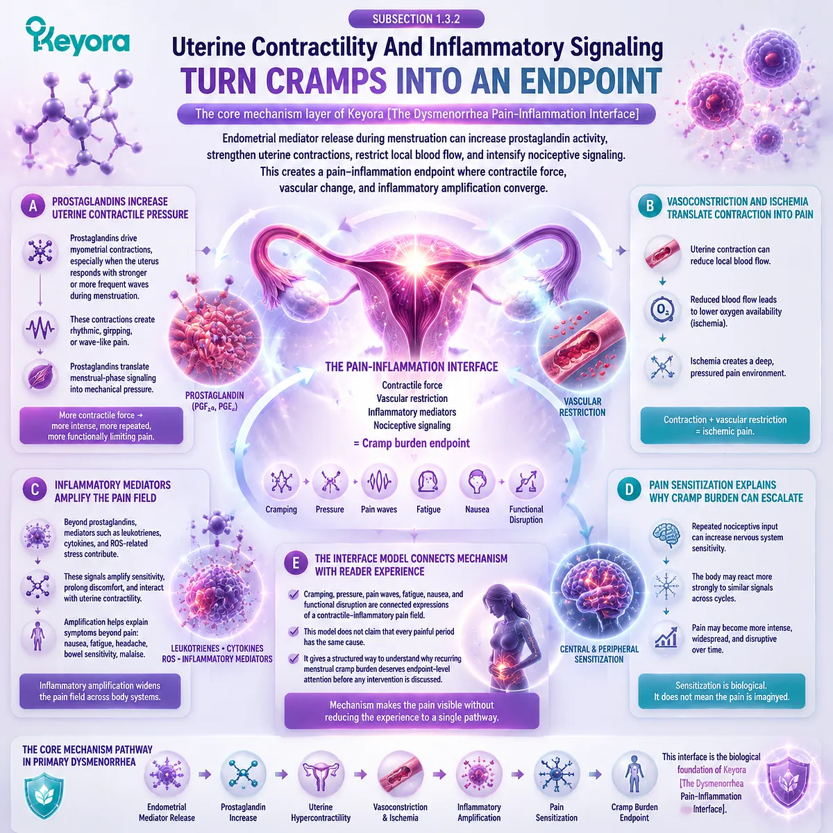 dysmenorrhea prostaglandin uterine hypercontractility menstrual cramp pain ischemia inflammatory signaling nociceptive sensitization Keyora Dysmenorrhea Pain-Inflammation Interface explains cycle-linked contractile inflammatory pain endpoint dysmenorrhea prostaglandin uterine hypercontractility menstrual cramp pain ischemia inflammatory signaling nociceptive sensitization Keyora Dysmenorrhea Pain-Inflammation Interface explains cycle-linked contractile inflammatory pain endpoint