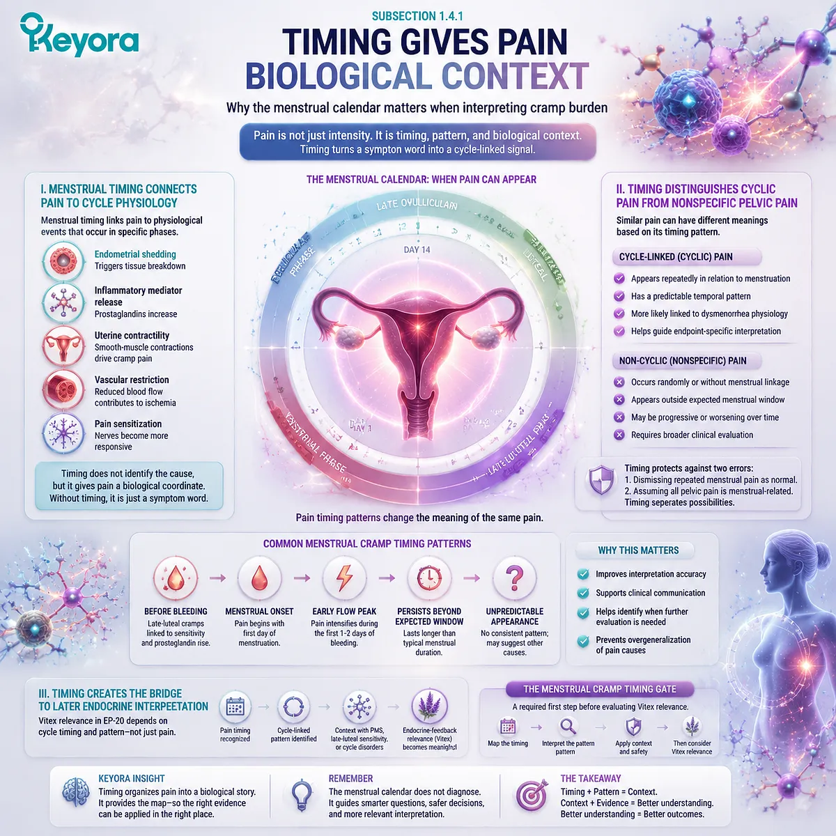 dysmenorrhea menstrual timing cycle-linked cramp burden prostaglandin uterine contractility inflammatory signaling menstrual calendar Keyora Menstrual Cramp Timing Gate links pain to cycle physiology endpoint interpretation dysmenorrhea menstrual timing cycle-linked cramp burden prostaglandin uterine contractility inflammatory signaling menstrual calendar Keyora Menstrual Cramp Timing Gate links pain to cycle physiology endpoint interpretation
