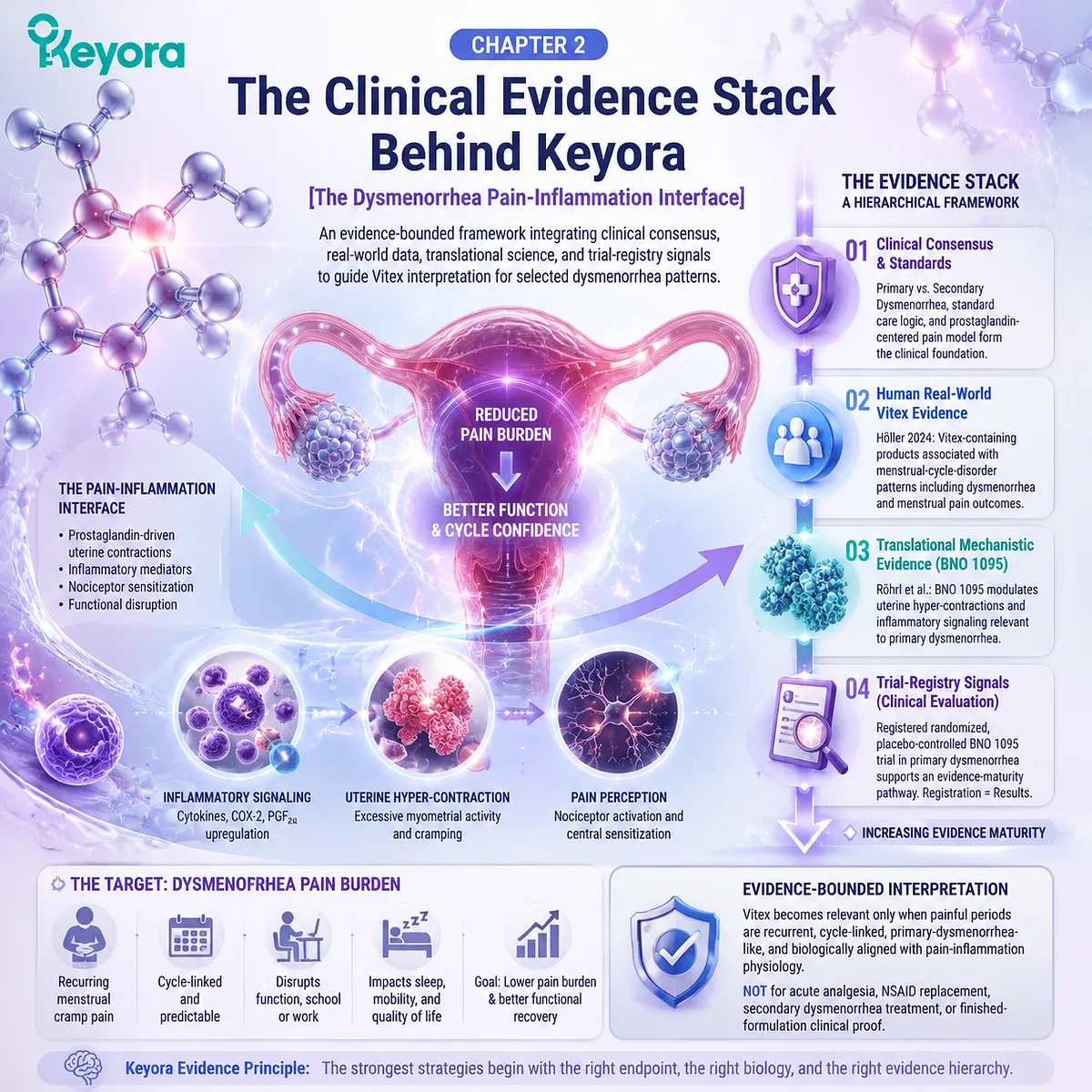 Primary dysmenorrhea menstrual pain evidence linking prostaglandin inflammation and uterine contraction signaling within Keyora Dysmenorrhea Pain-Inflammation Interface clinical interpretation Primary dysmenorrhea menstrual pain evidence linking prostaglandin inflammation and uterine contraction signaling within Keyora Dysmenorrhea Pain-Inflammation Interface clinical interpretation