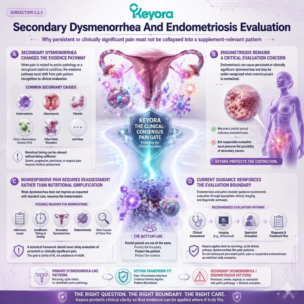 secondary dysmenorrhea endometriosis pelvic pain evaluation prostaglandin menstrual inflammation Keyora Clinical-Consensus Pain Gate Dysmenorrhea Pain-Inflammation Interface clinical boundary secondary dysmenorrhea endometriosis pelvic pain evaluation prostaglandin menstrual inflammation Keyora Clinical-Consensus Pain Gate Dysmenorrhea Pain-Inflammation Interface clinical boundary